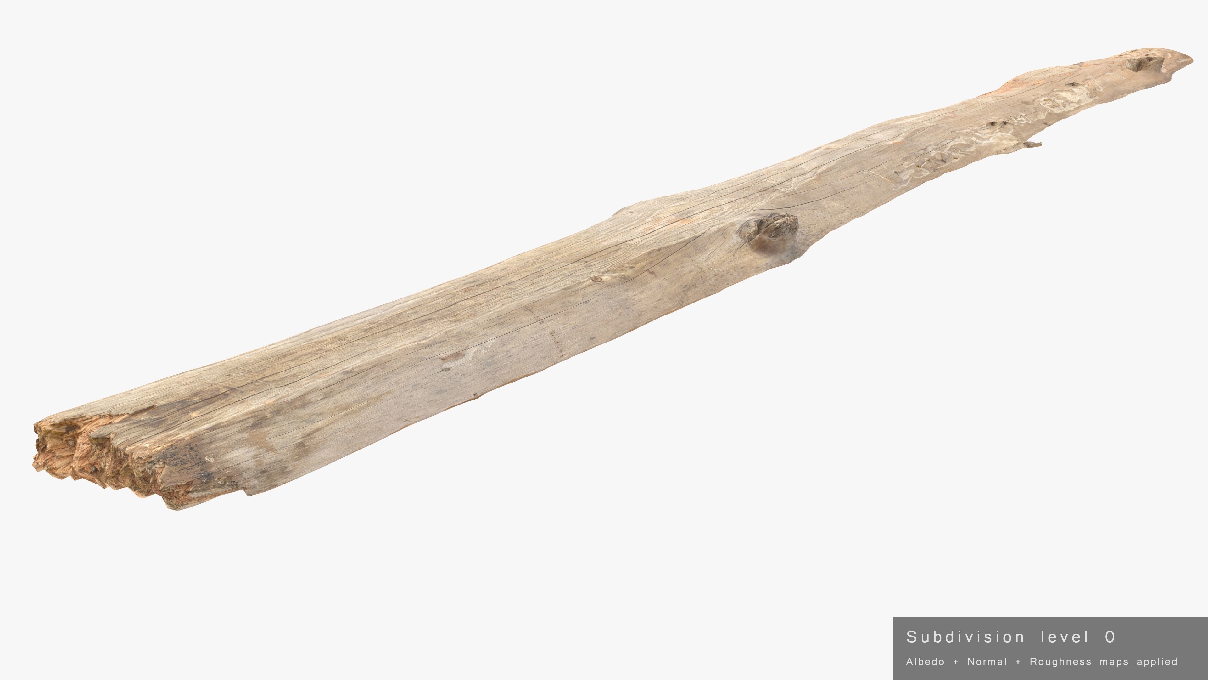 Plank Eaten Low-poly 3D model_27