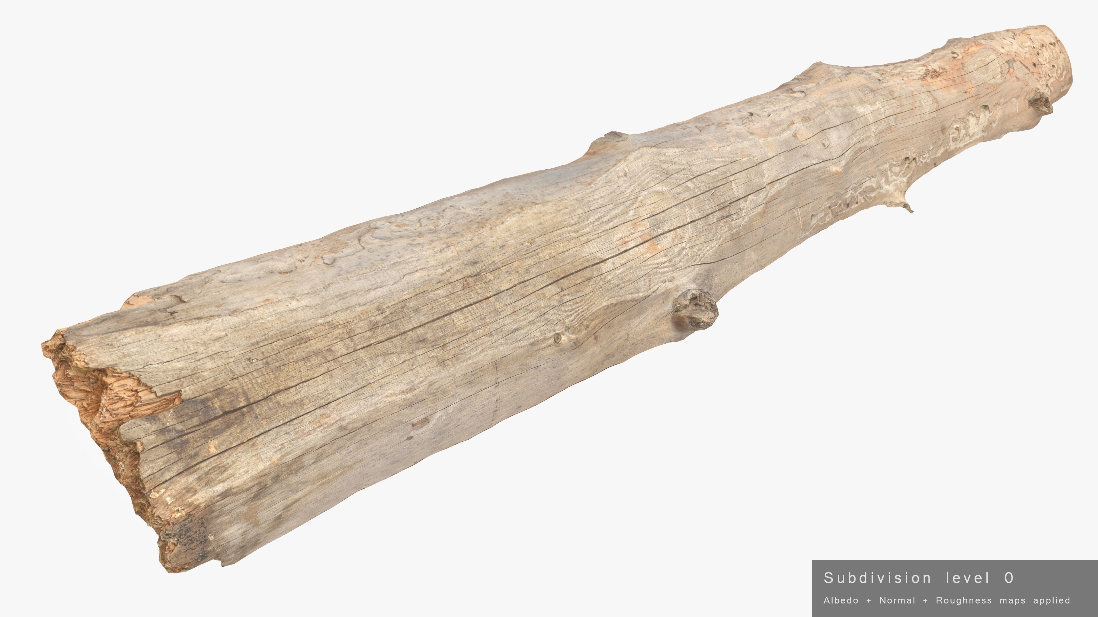 Plank Eaten Low-poly 3D model_22
