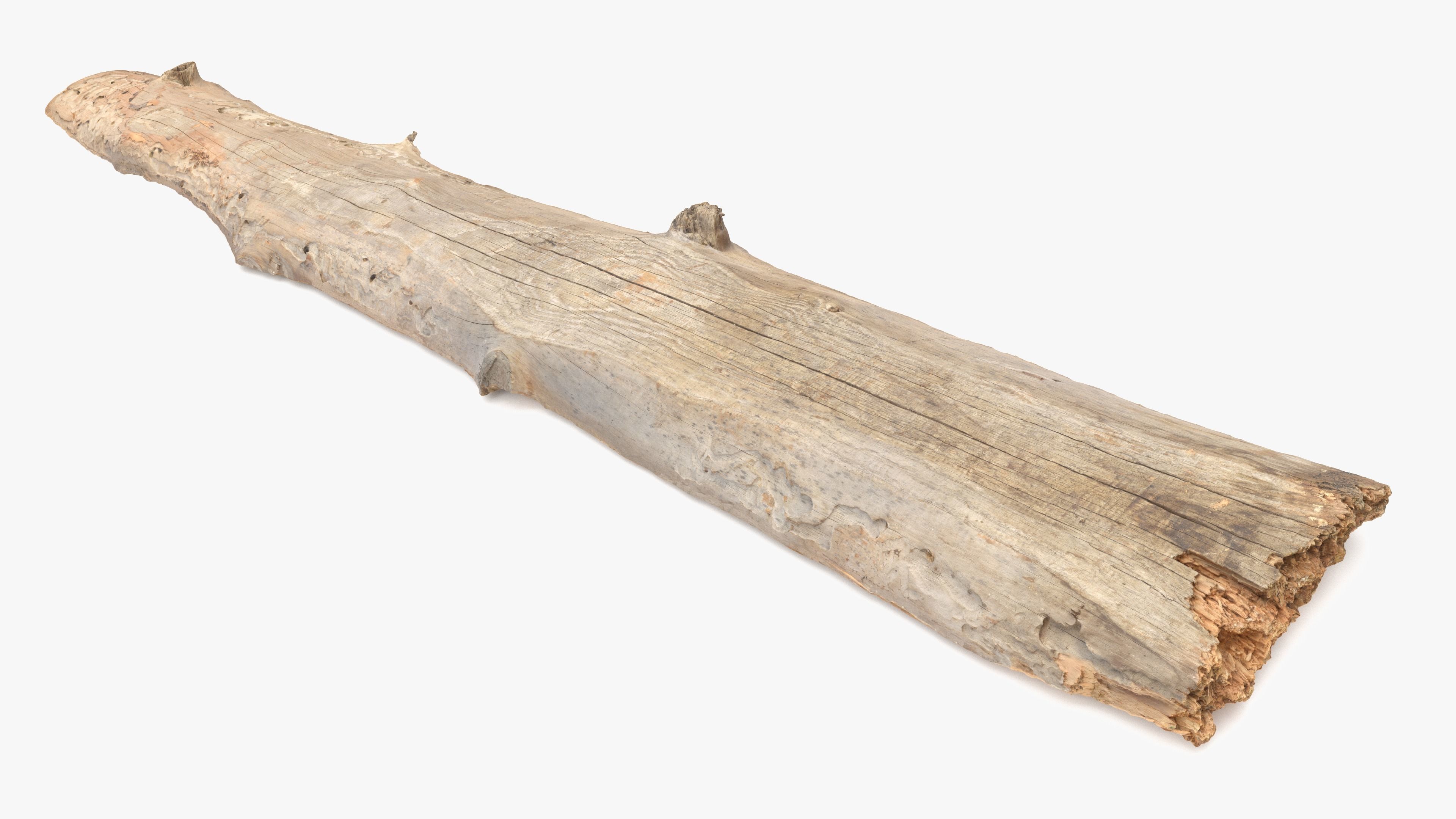 Plank Eaten Low-poly 3D model_6