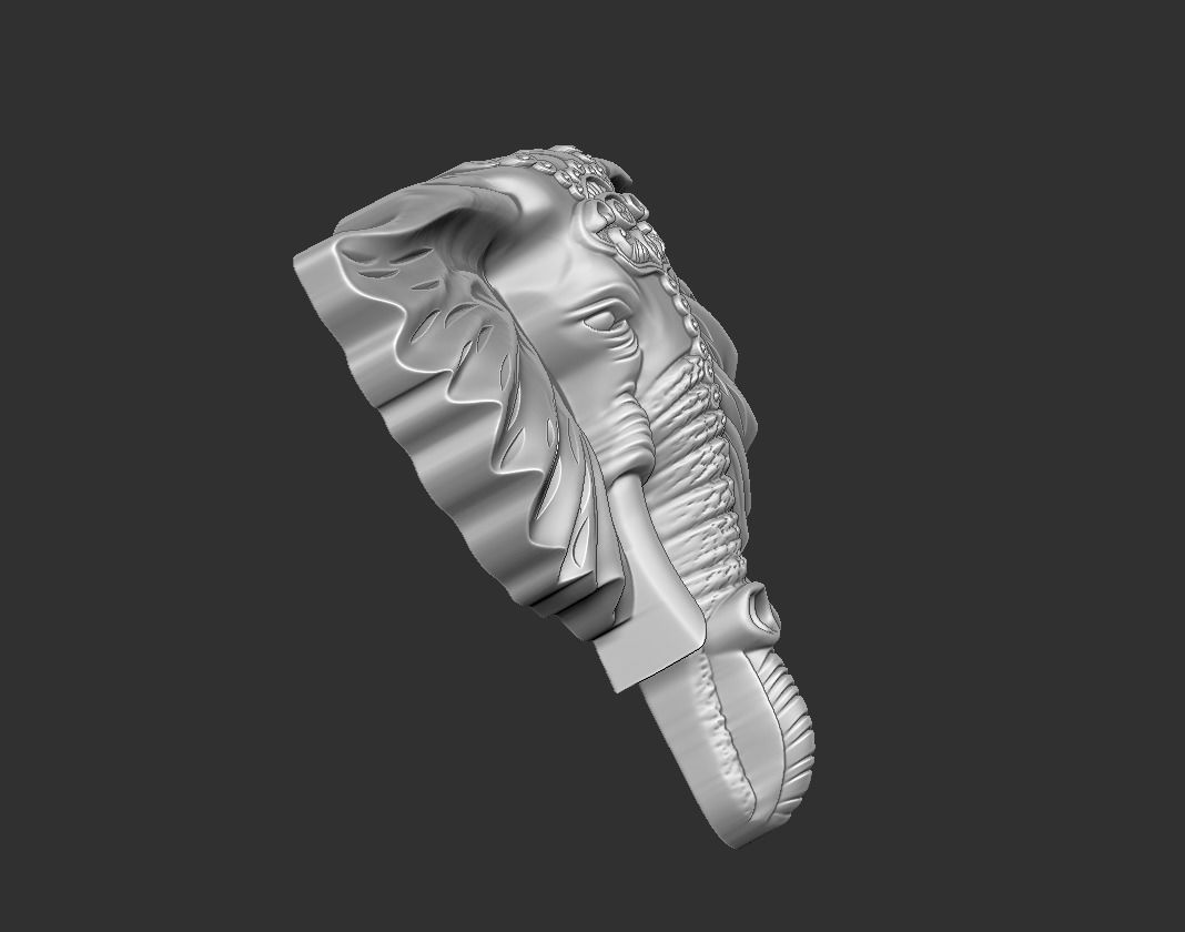 elephant head 3D print model_4