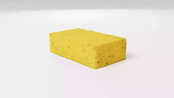 Sponge - High Quality - Bathroom