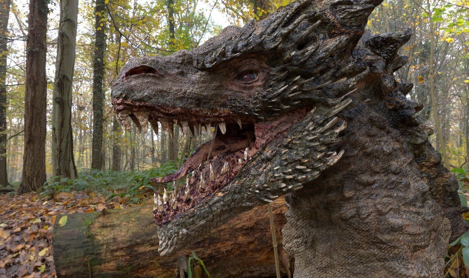 Dragon Head Realistic Low-poly 3D model_7