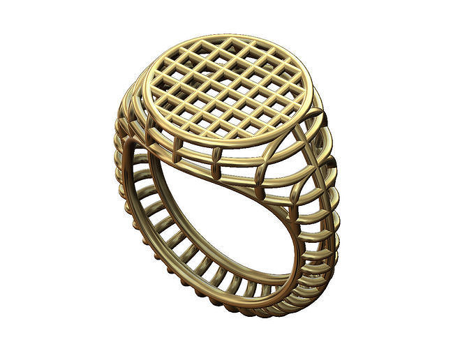 Wire mesh round flat top signet ring 3D print model