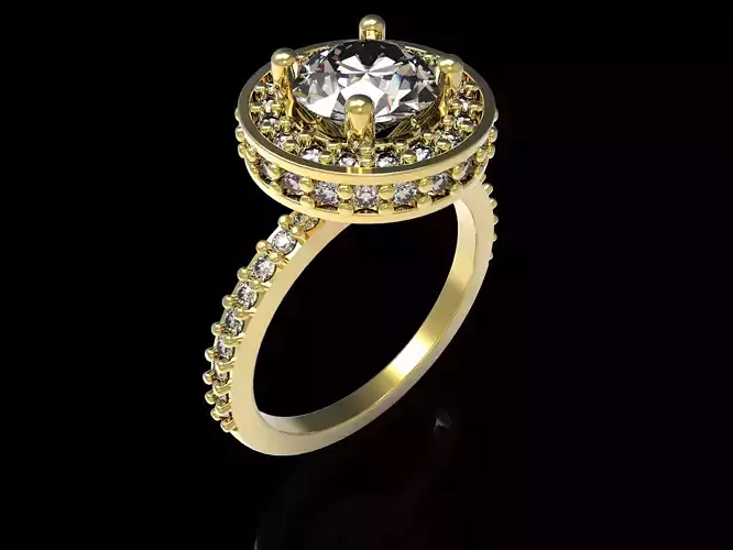 Sparkling Two Raw Halo Ring