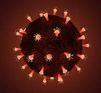 Coronavirus covid-19 Low-poly 3D model