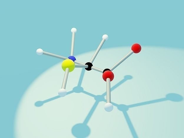 Organic Chemistry - Protein 3D print model