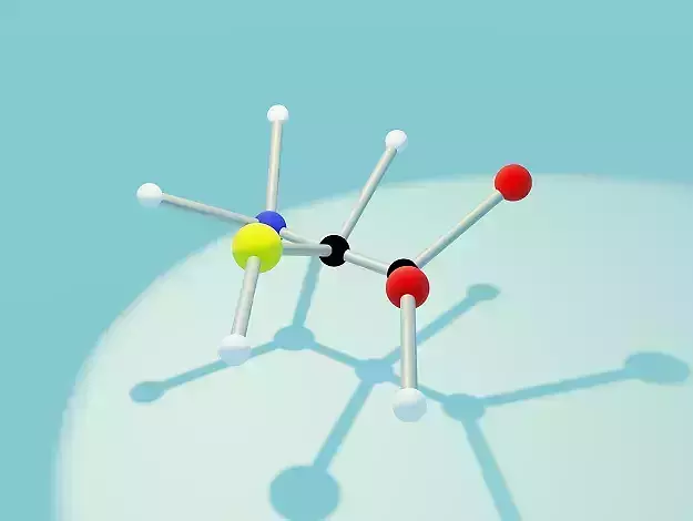 Organic Chemistry - Protein 3D print model