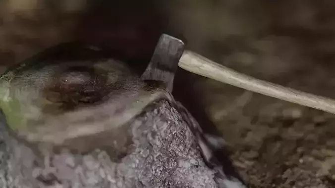 High-Poly PBR Axe tree stump being cut with