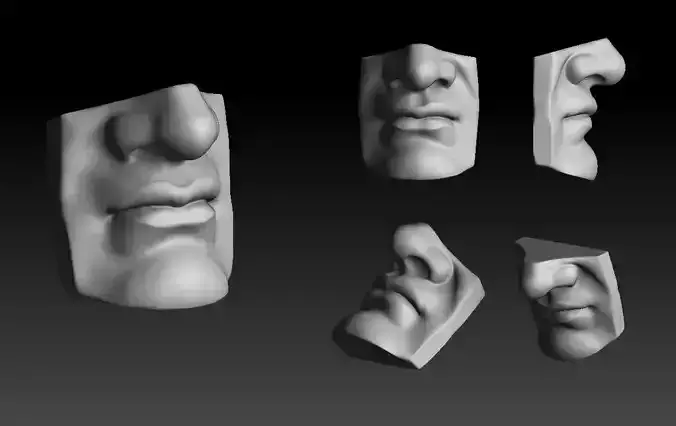 David - Mouth  Reproduction