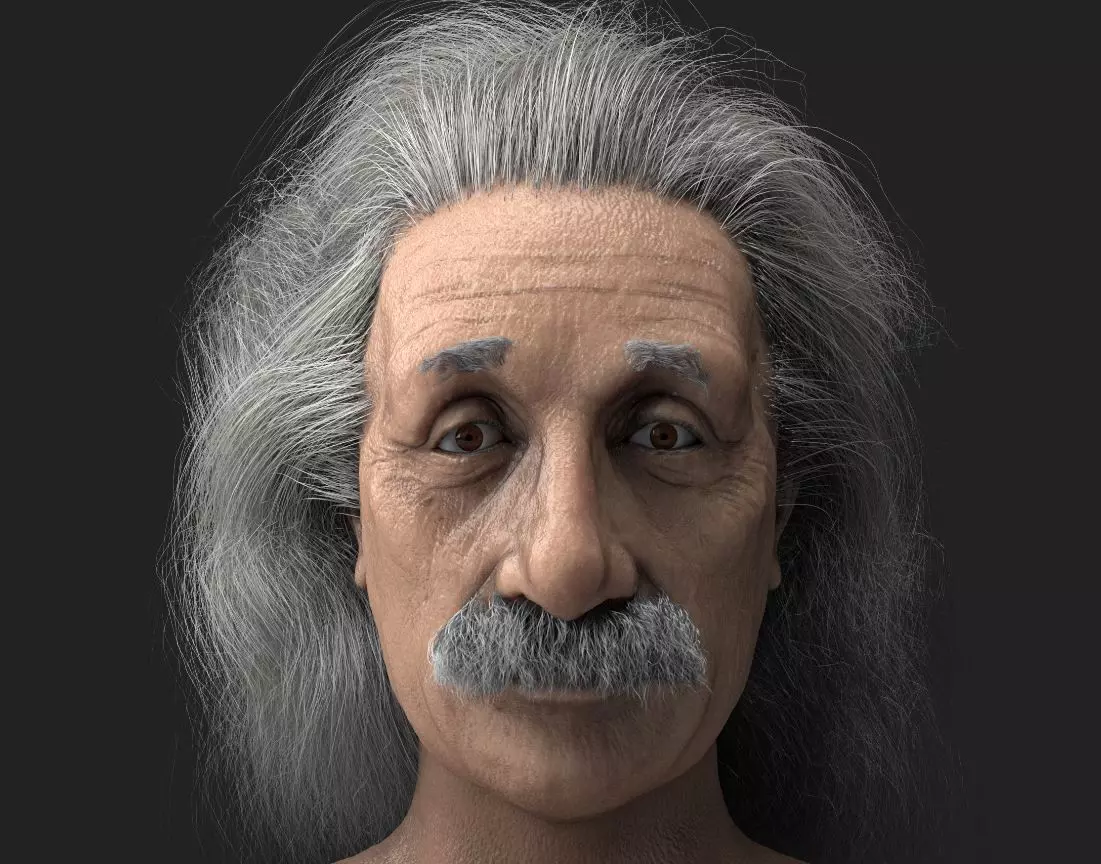 Albert Einstein 3D Low poliy Realistic Character Model 3D model_0