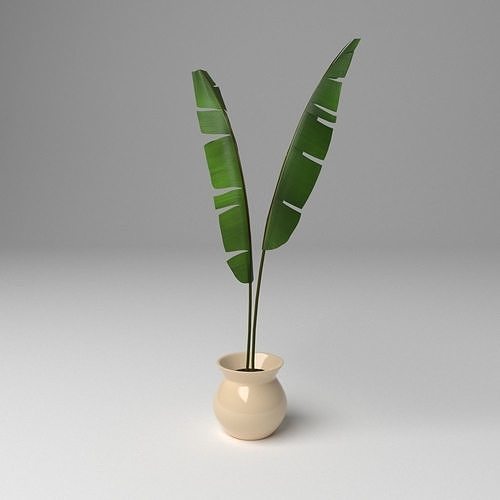Banana Tree Free 3D model
