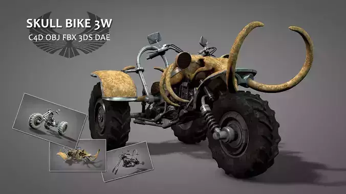 Skull Bike 3W