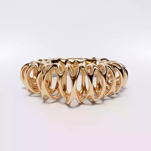 Coil Ring 3D model Coil Ring 3D model