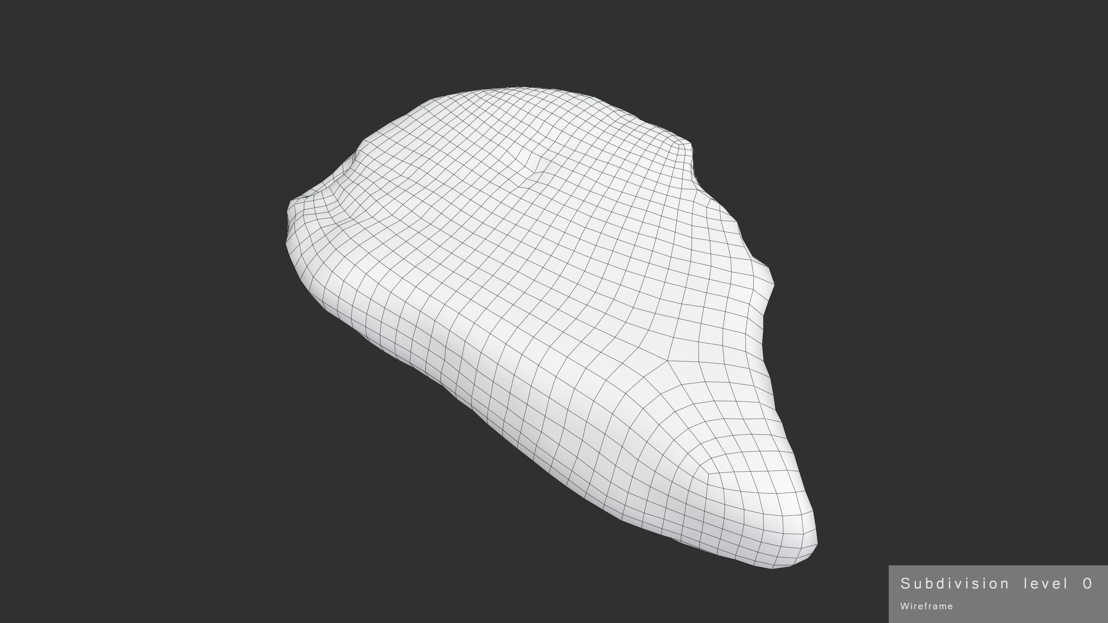White Amber Low-poly 3D model_26