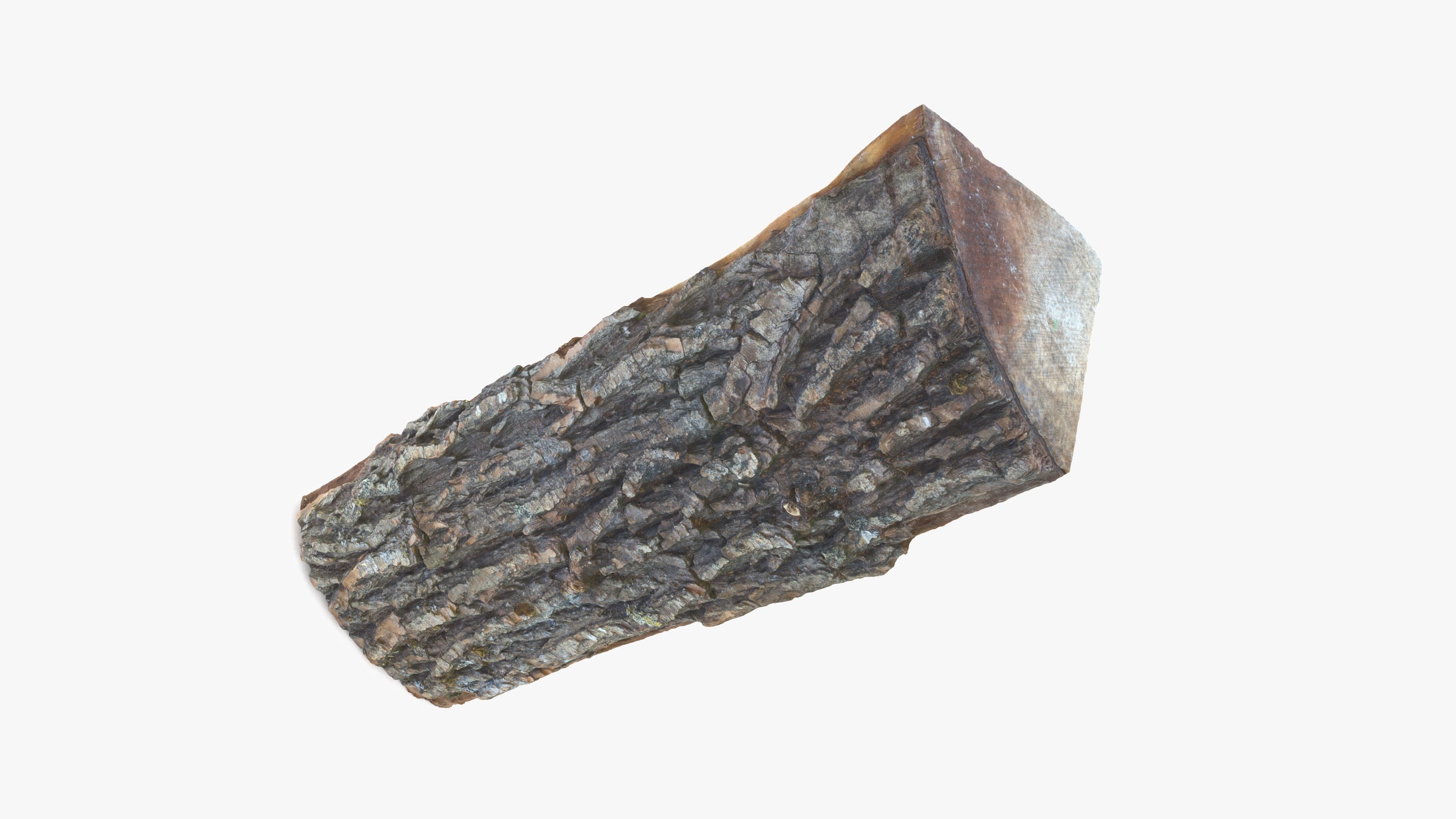 Log Maple Low-poly 3D model_16