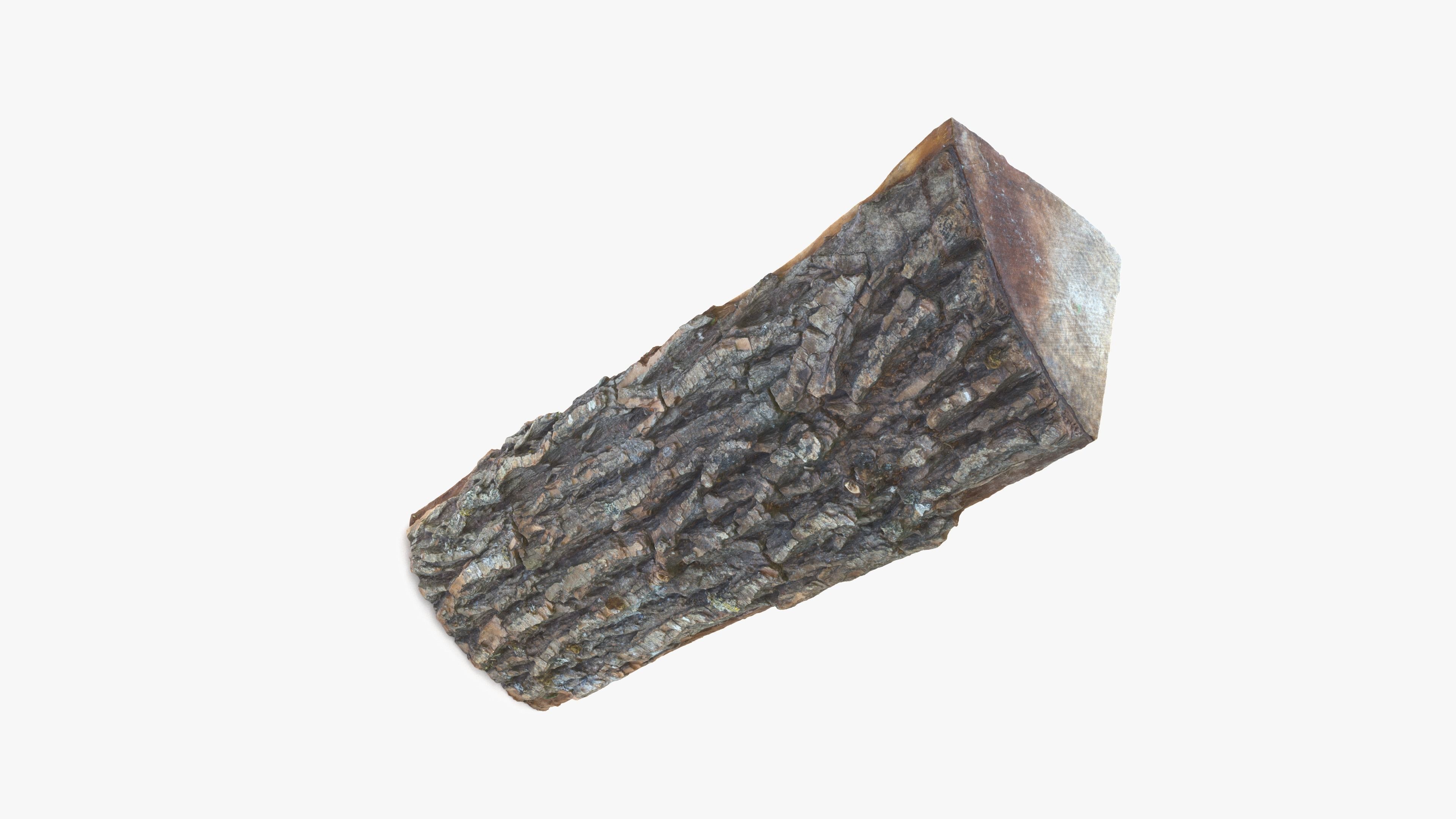 Log Maple Low-poly 3D model_2