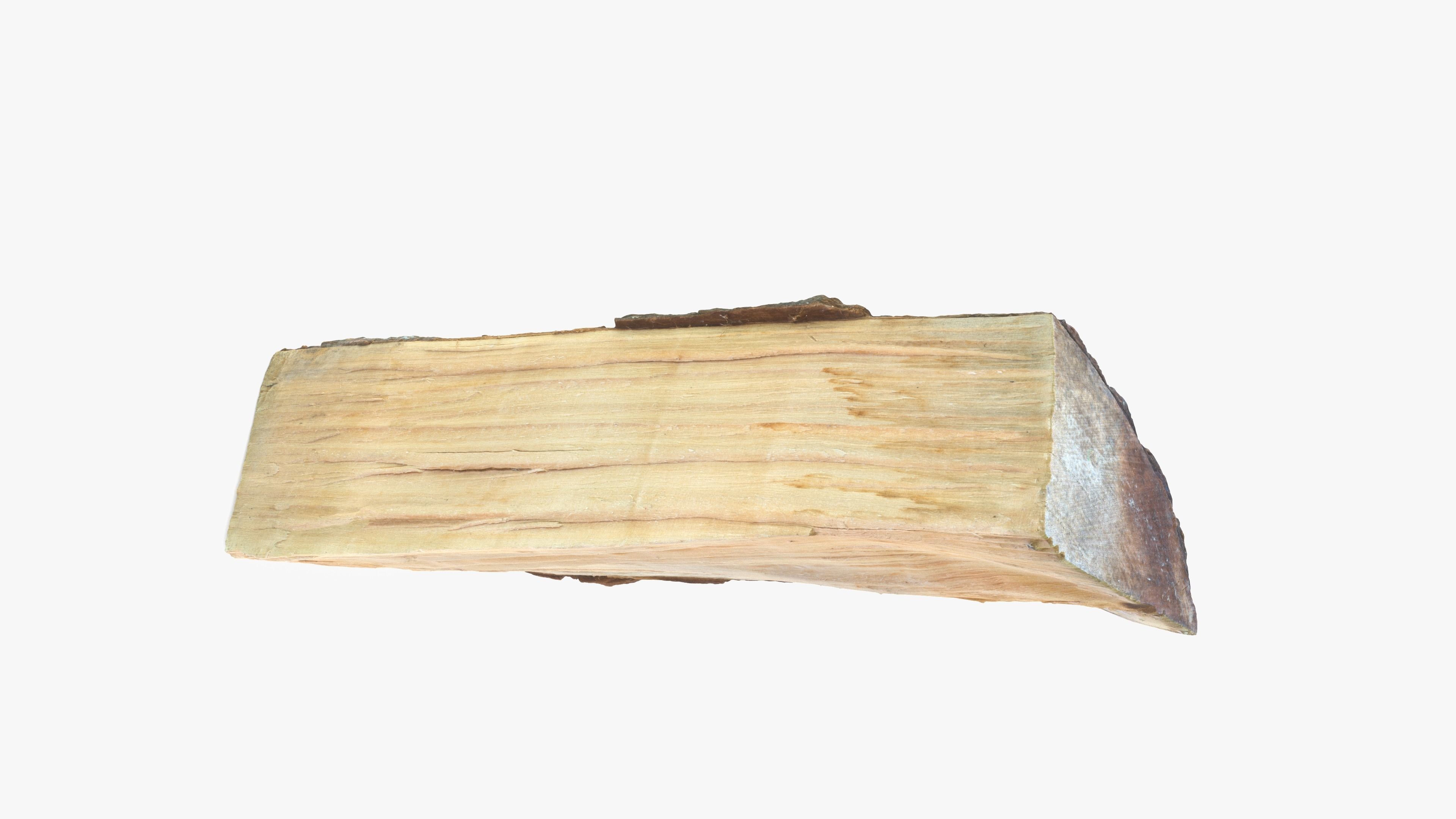 Log Maple Low-poly 3D model_13