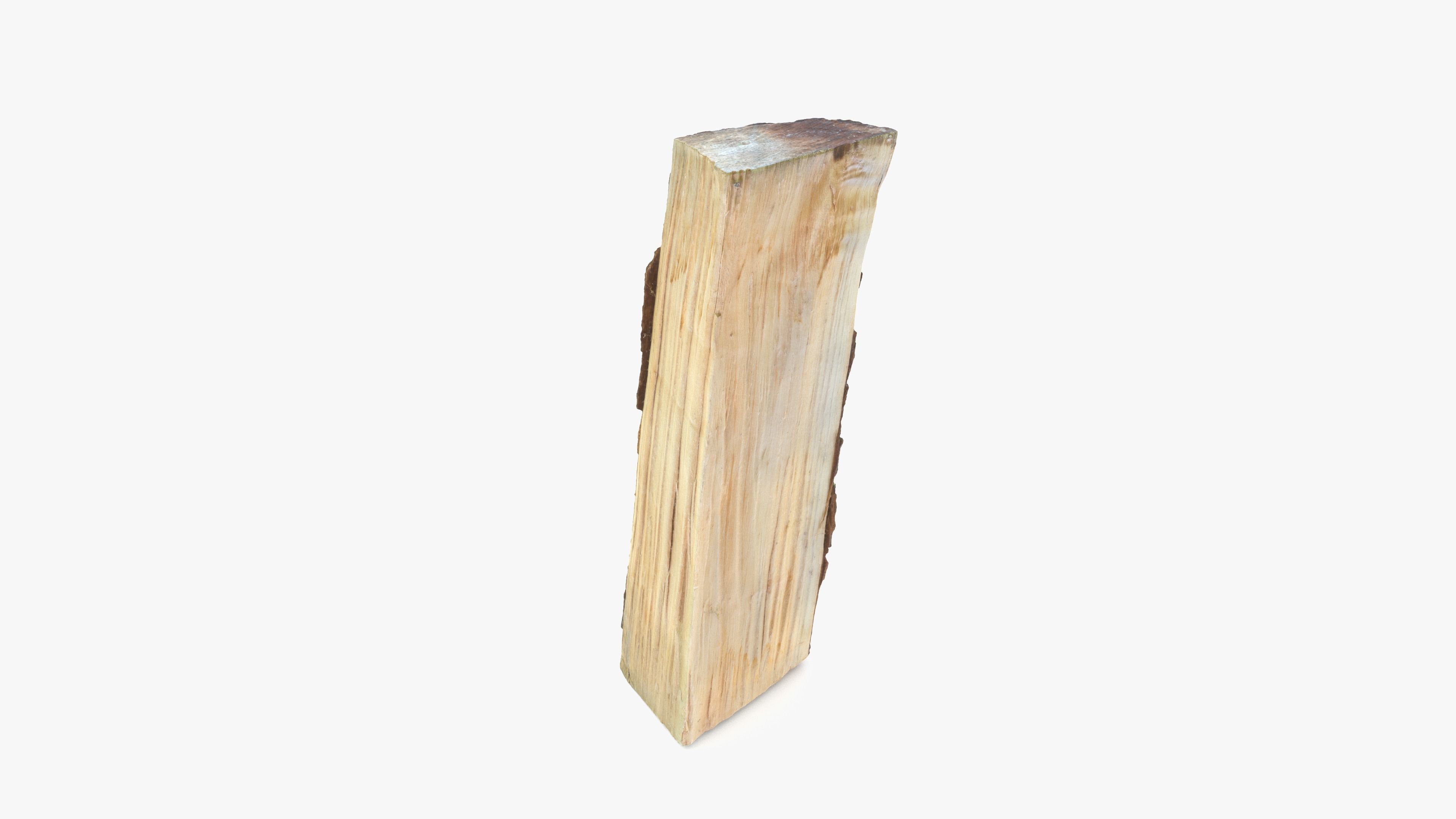 Log Maple Low-poly 3D model_7