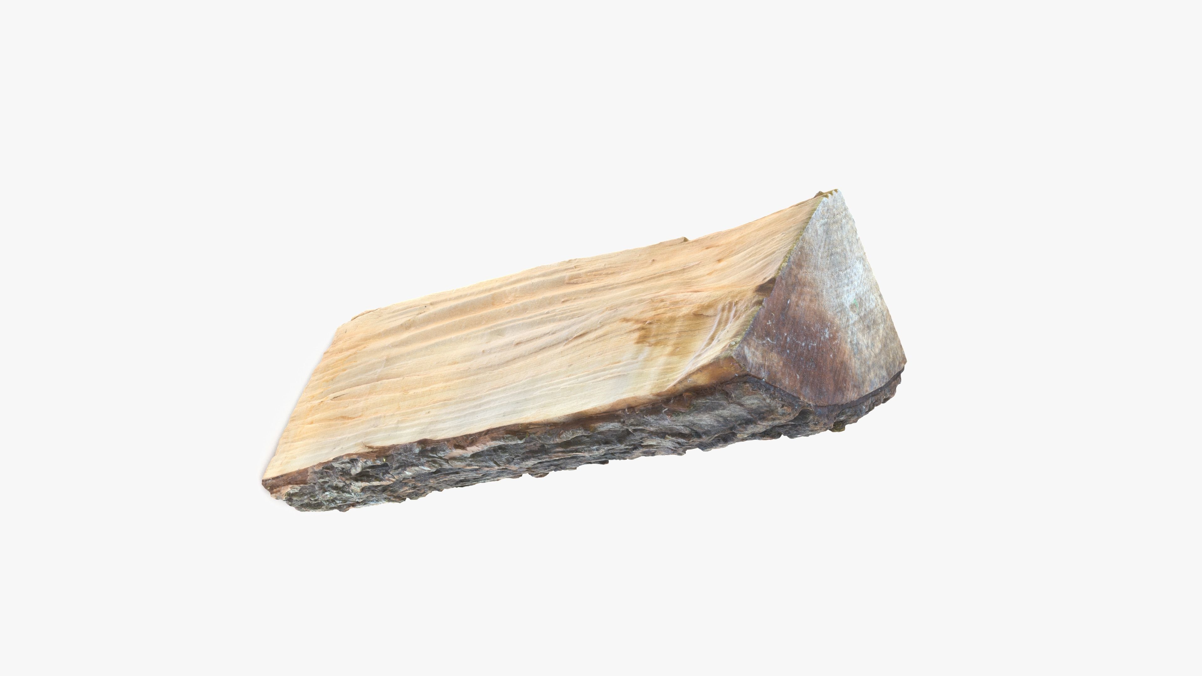 Log Maple Low-poly 3D model_17