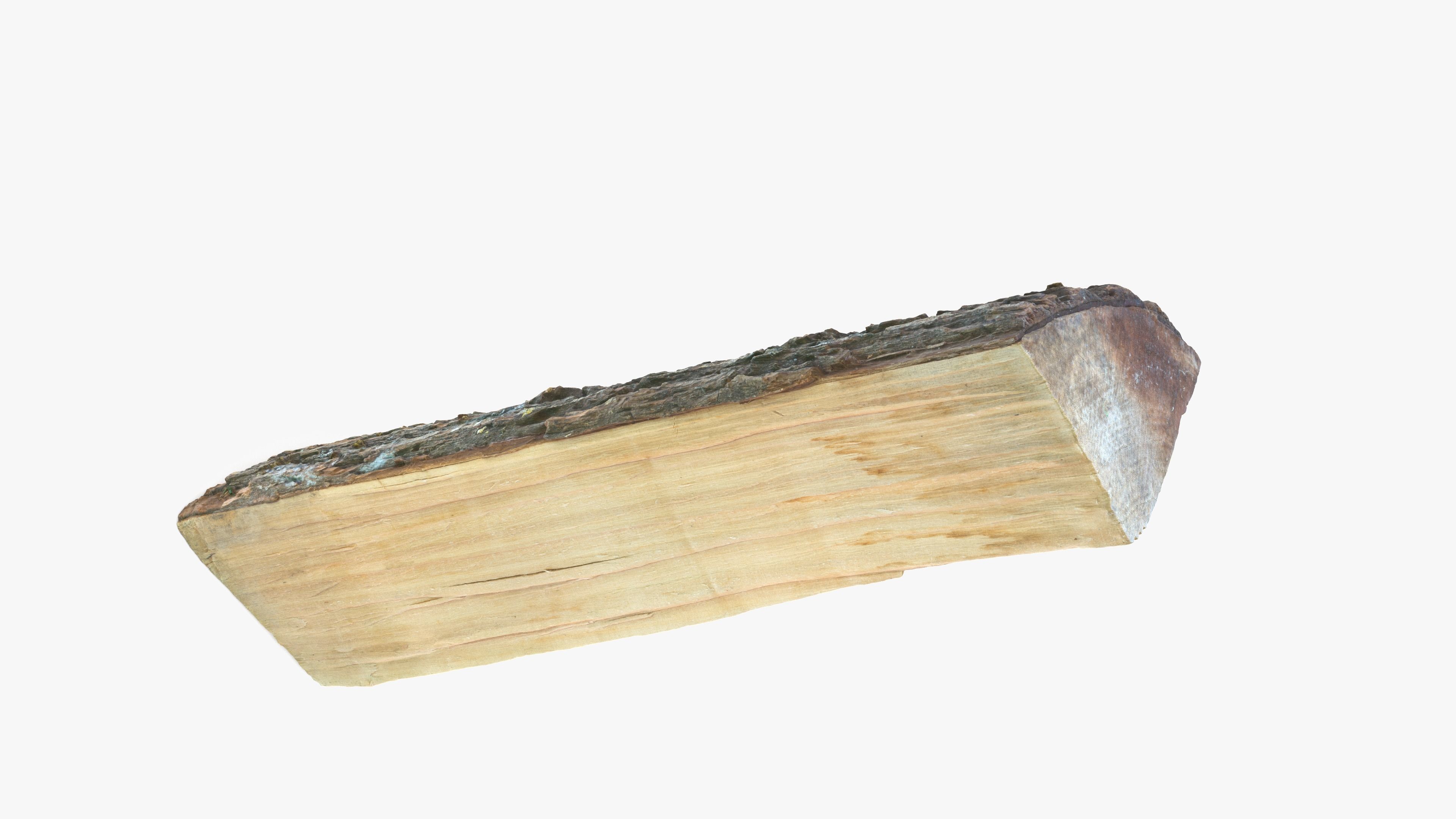 Log Maple Low-poly 3D model_14