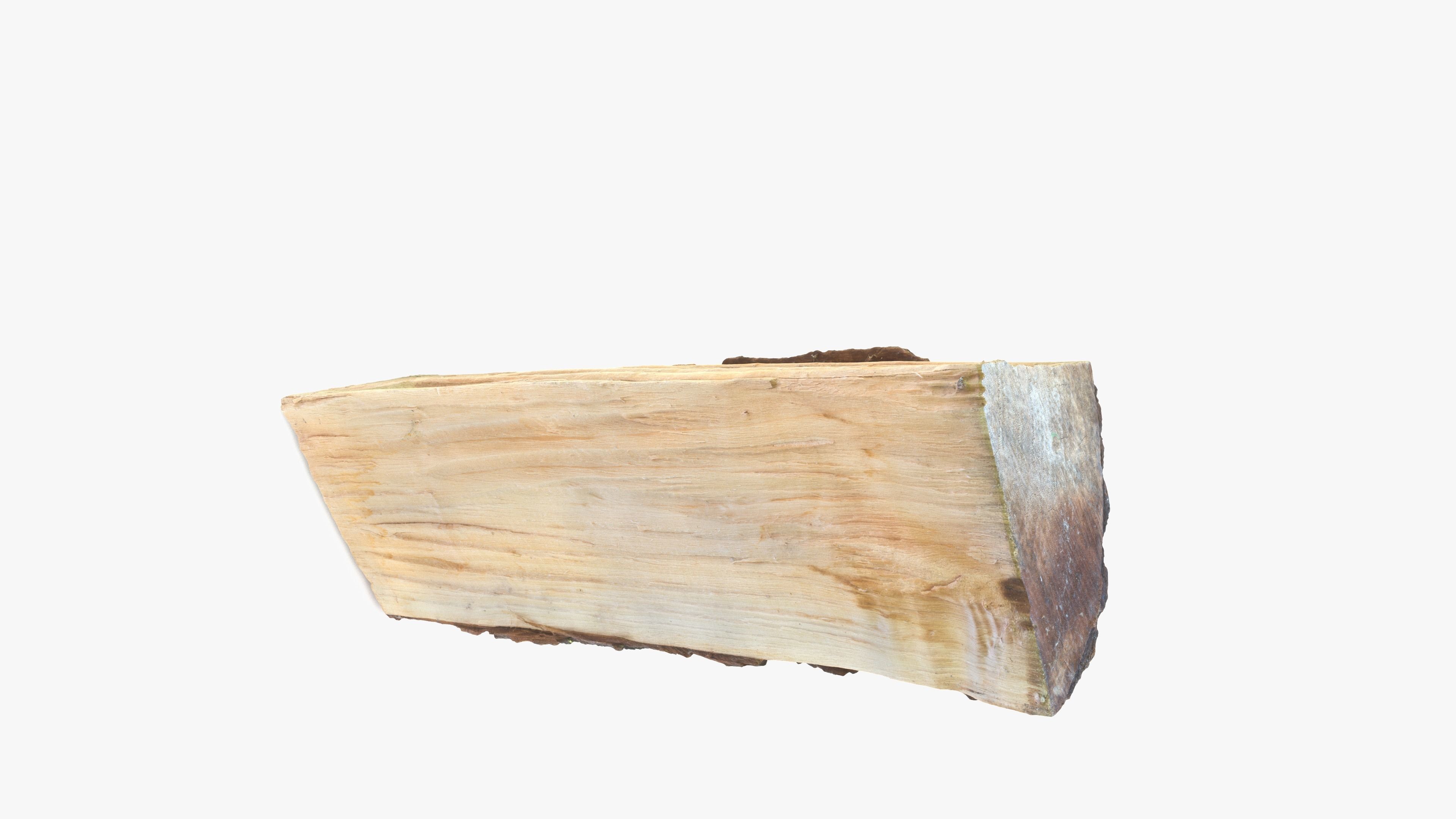 Log Maple Low-poly 3D model_12