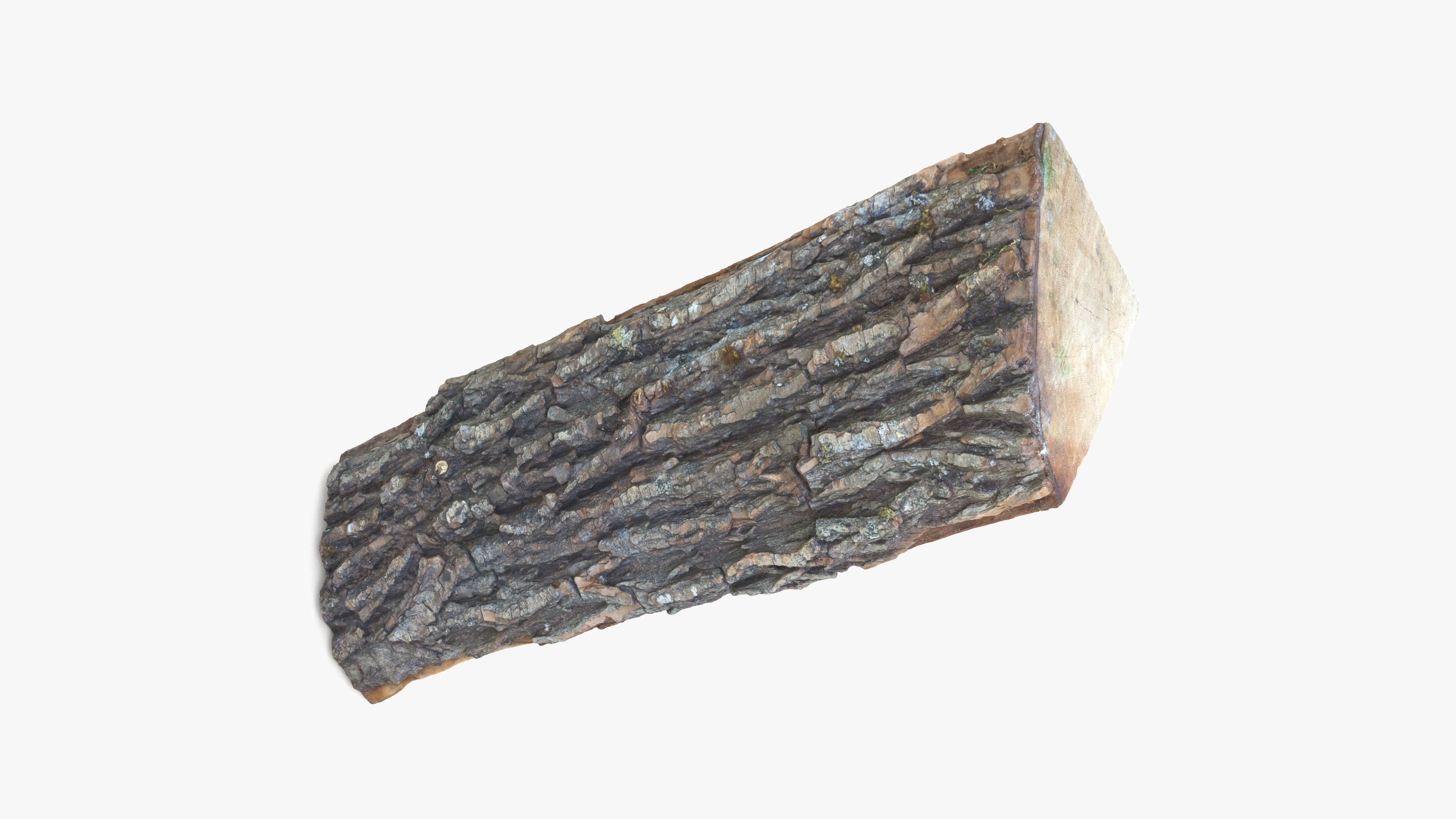 Log Maple Low-poly 3D model_9