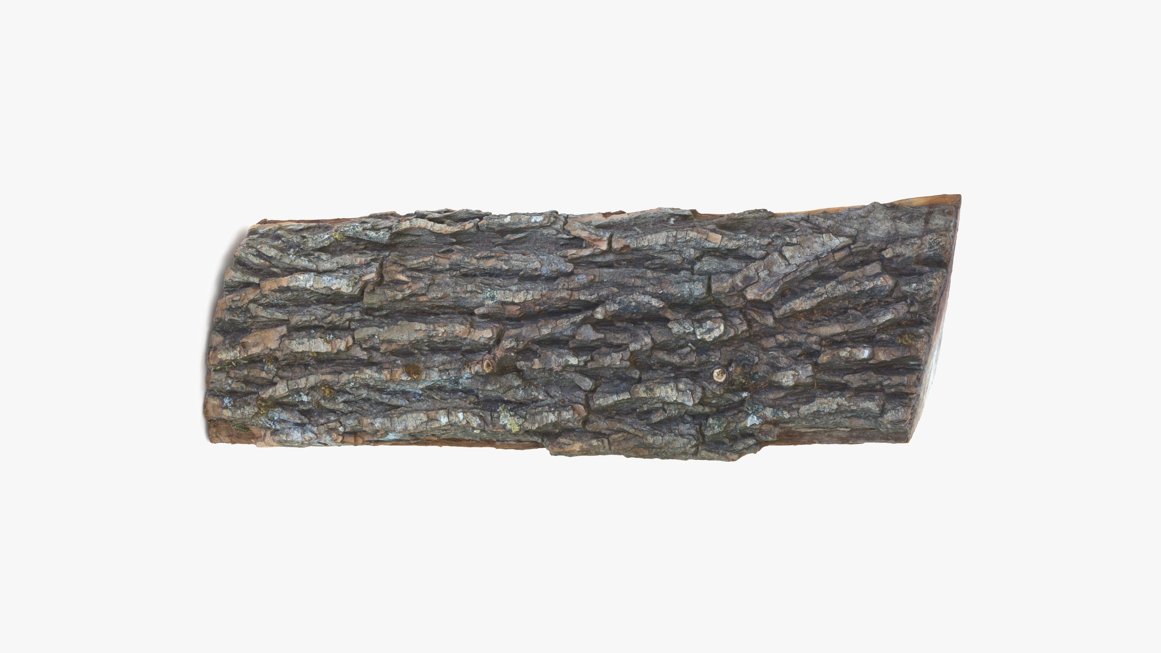 Log Maple Low-poly 3D model_3