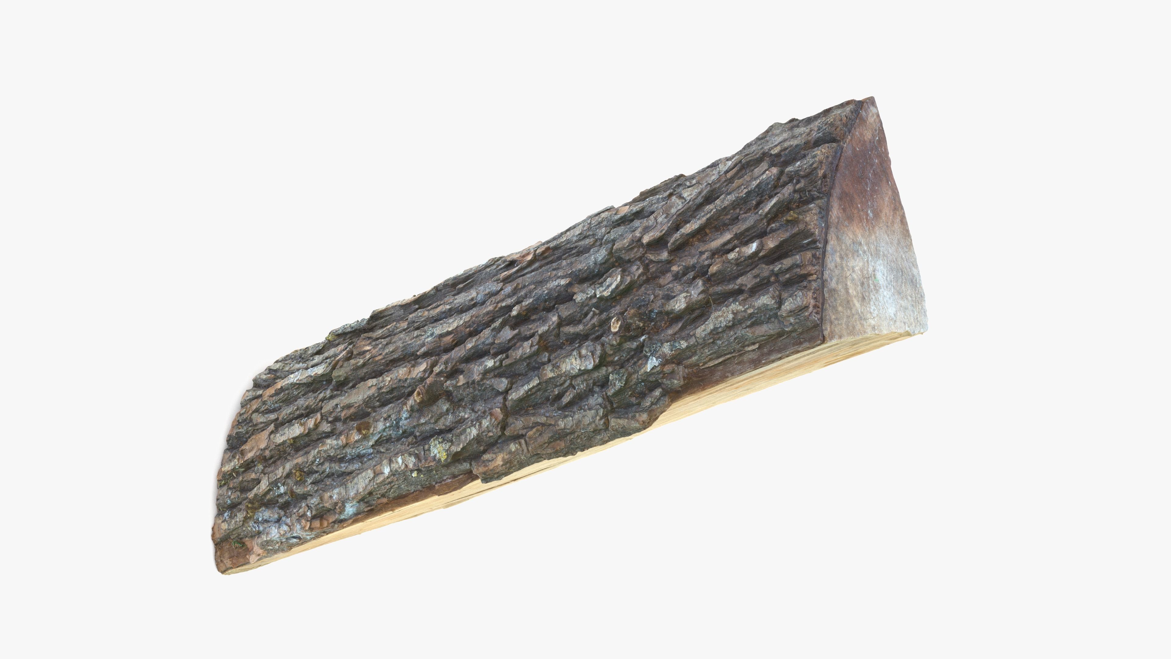 Log Maple Low-poly 3D model_15