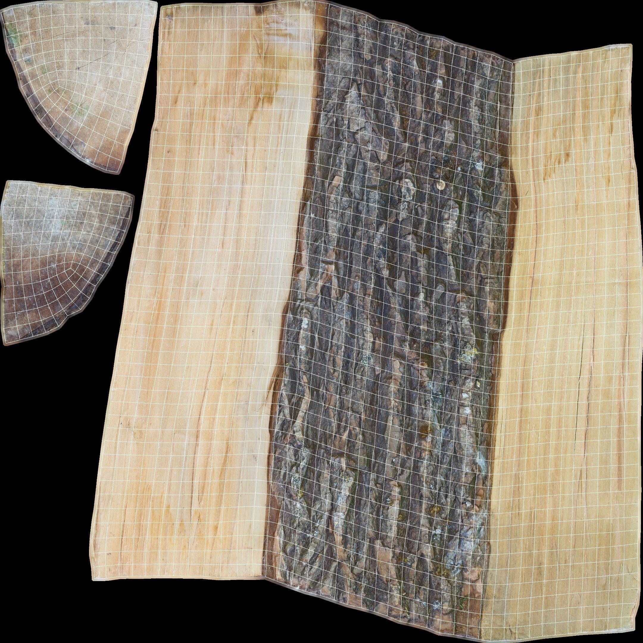 Log Maple Low-poly 3D model_30