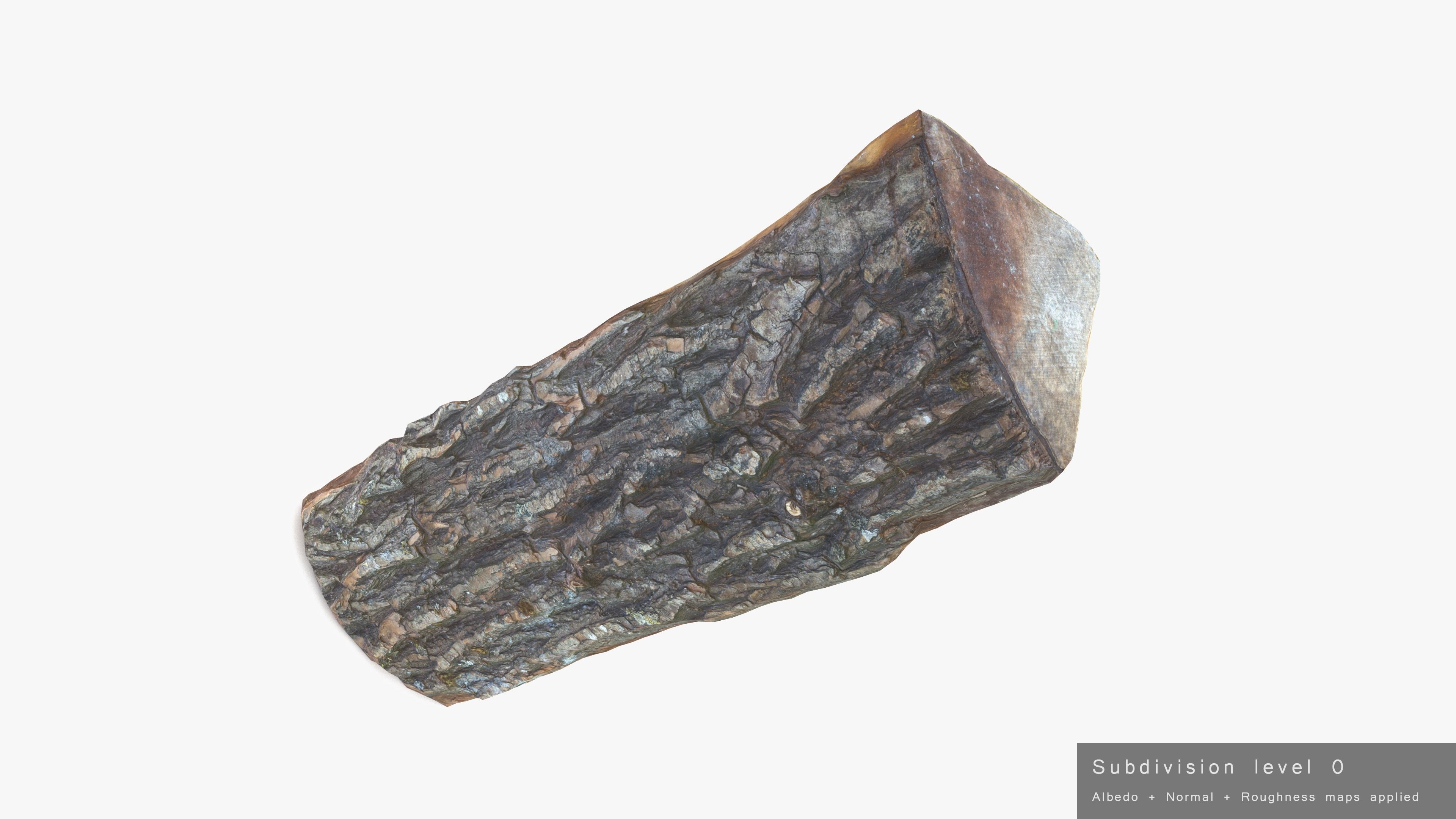 Log Maple Low-poly 3D model_23