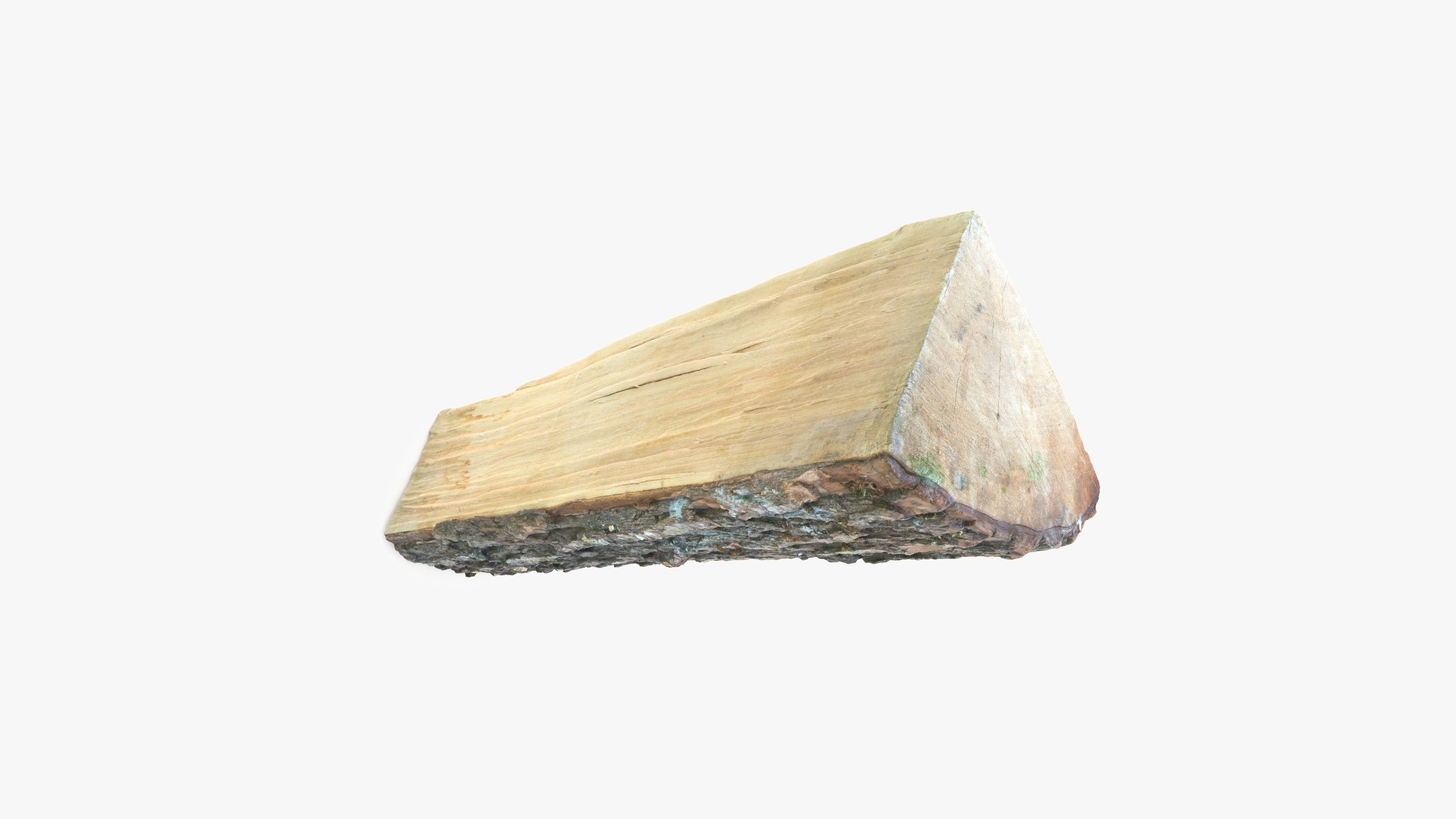 Log Maple Low-poly 3D model_11