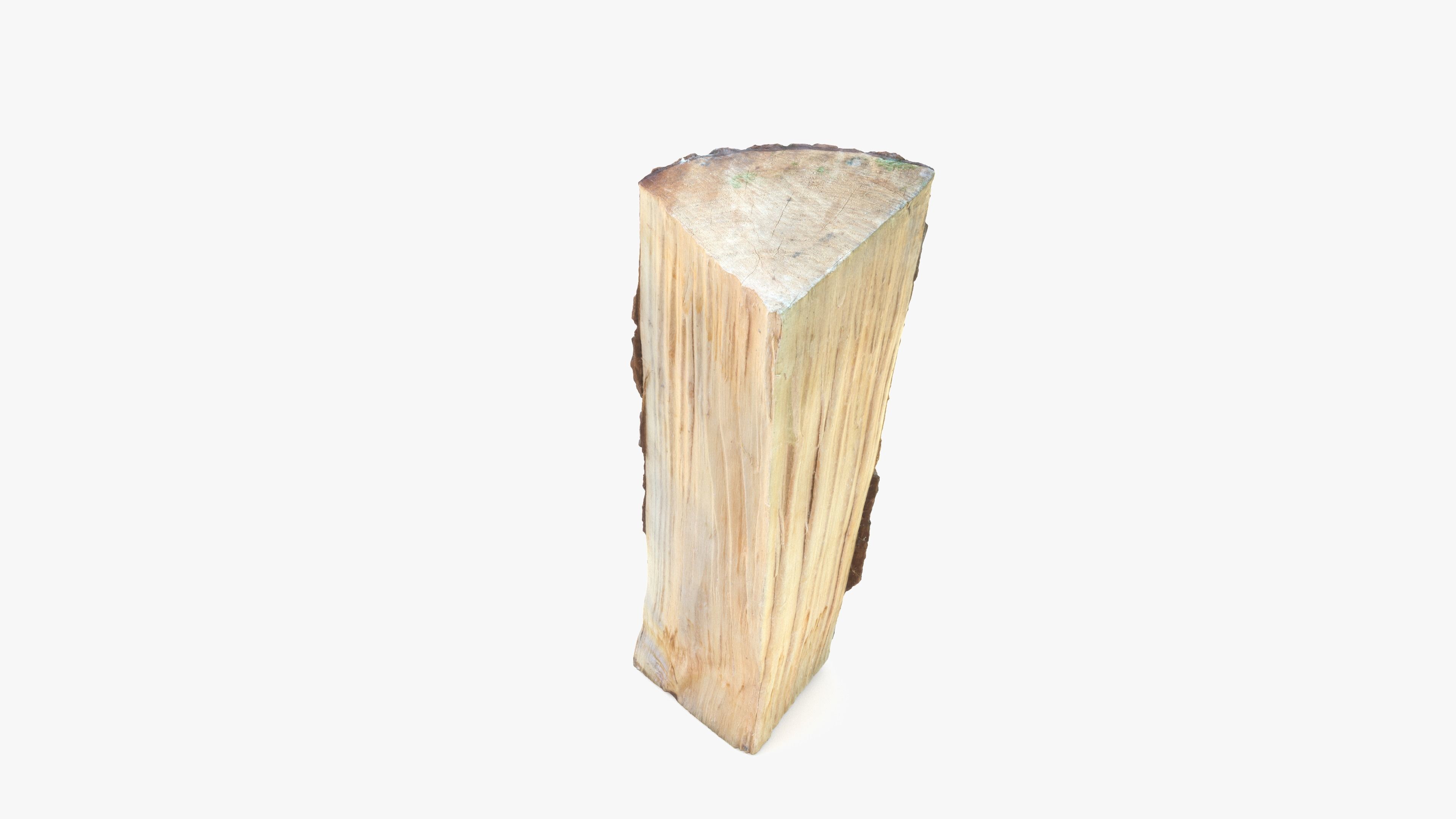 Log Maple Low-poly 3D model_8