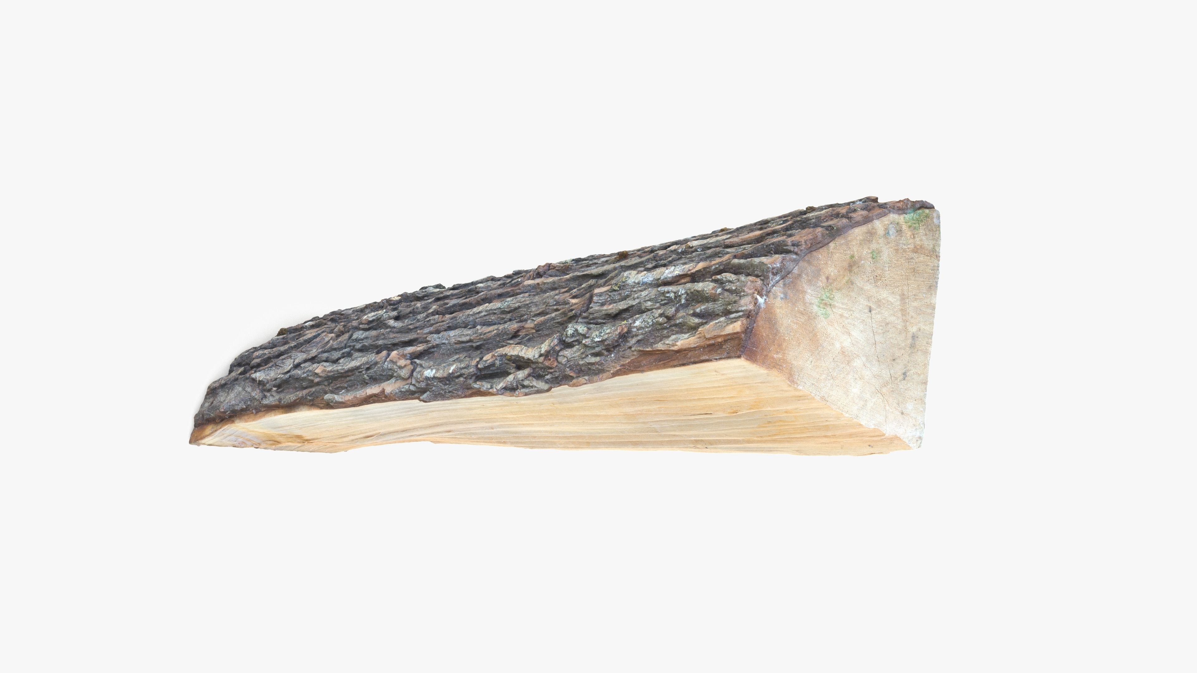 Log Maple Low-poly 3D model_10