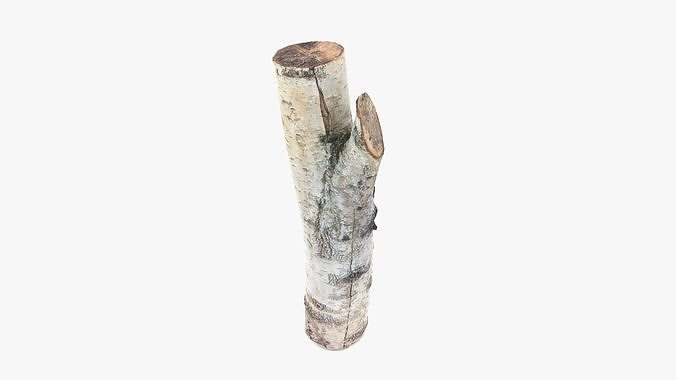Log Birch Low-poly 3D model