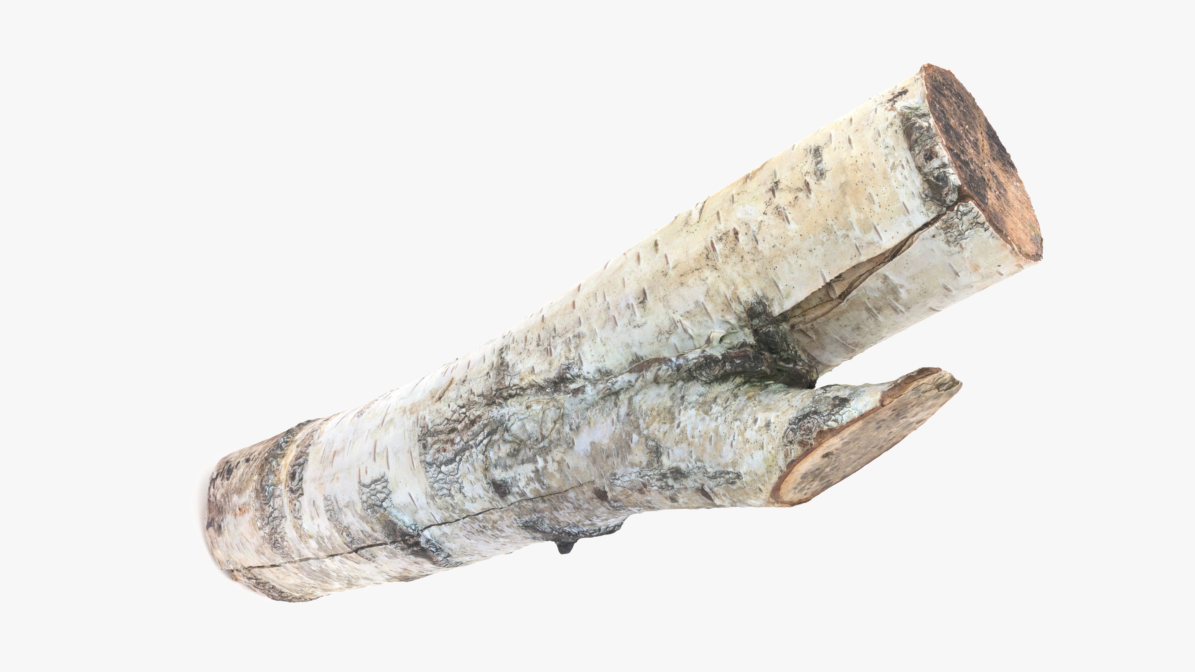 Log Birch Low-poly 3D model_1