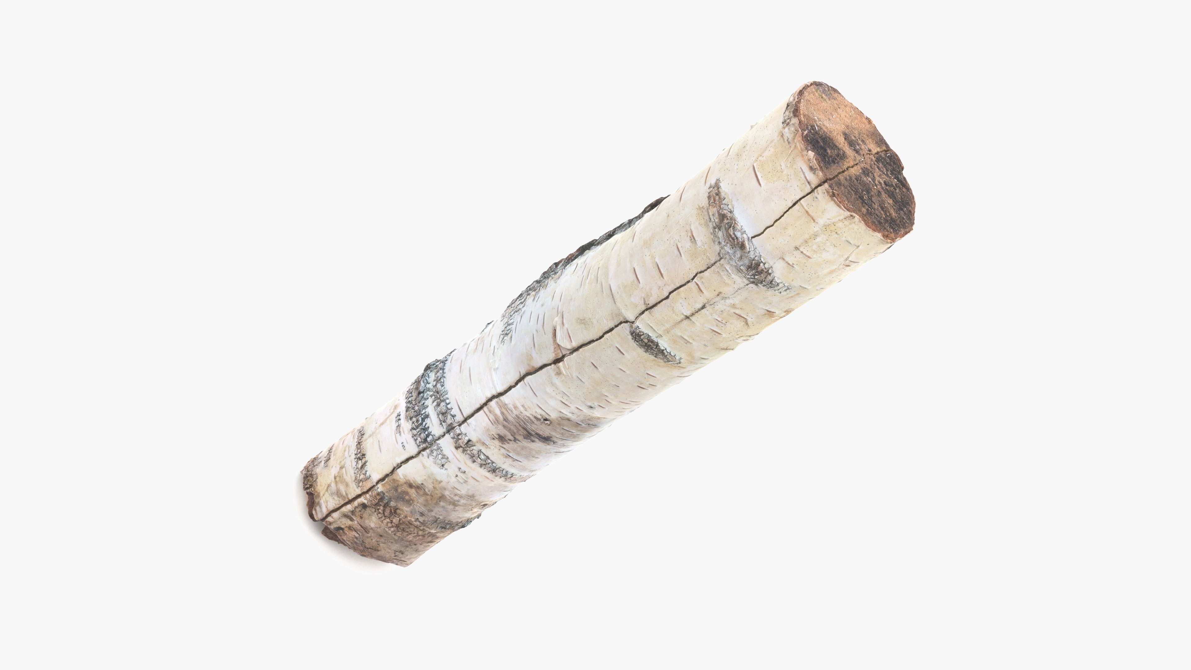 Log Birch Low-poly 3D model_13