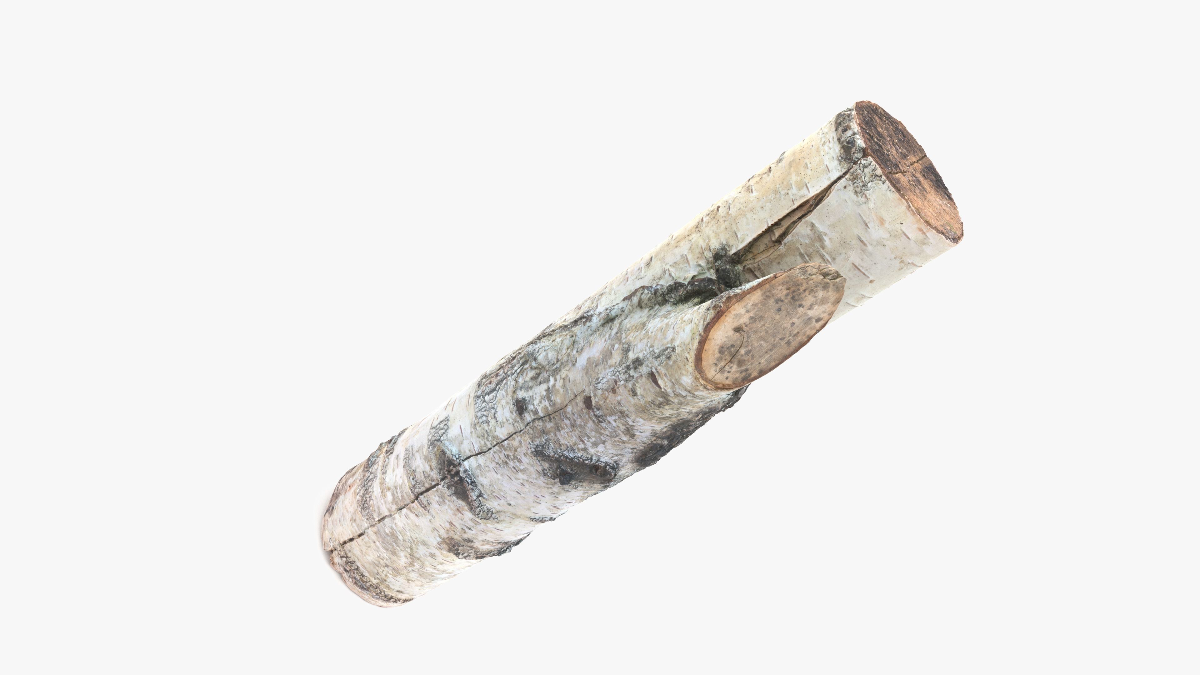 Log Birch Low-poly 3D model_16