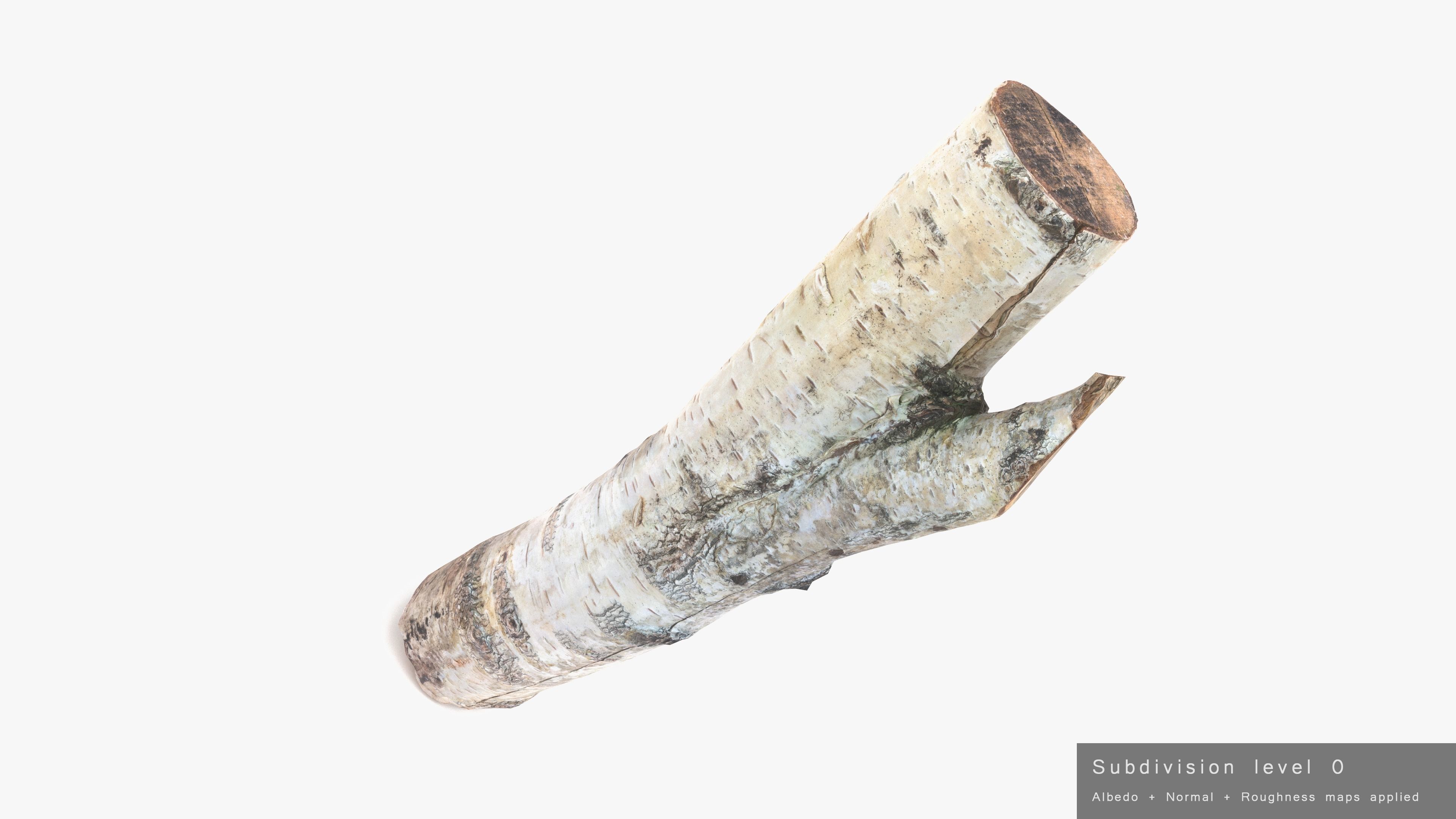 Log Birch Low-poly 3D model_24