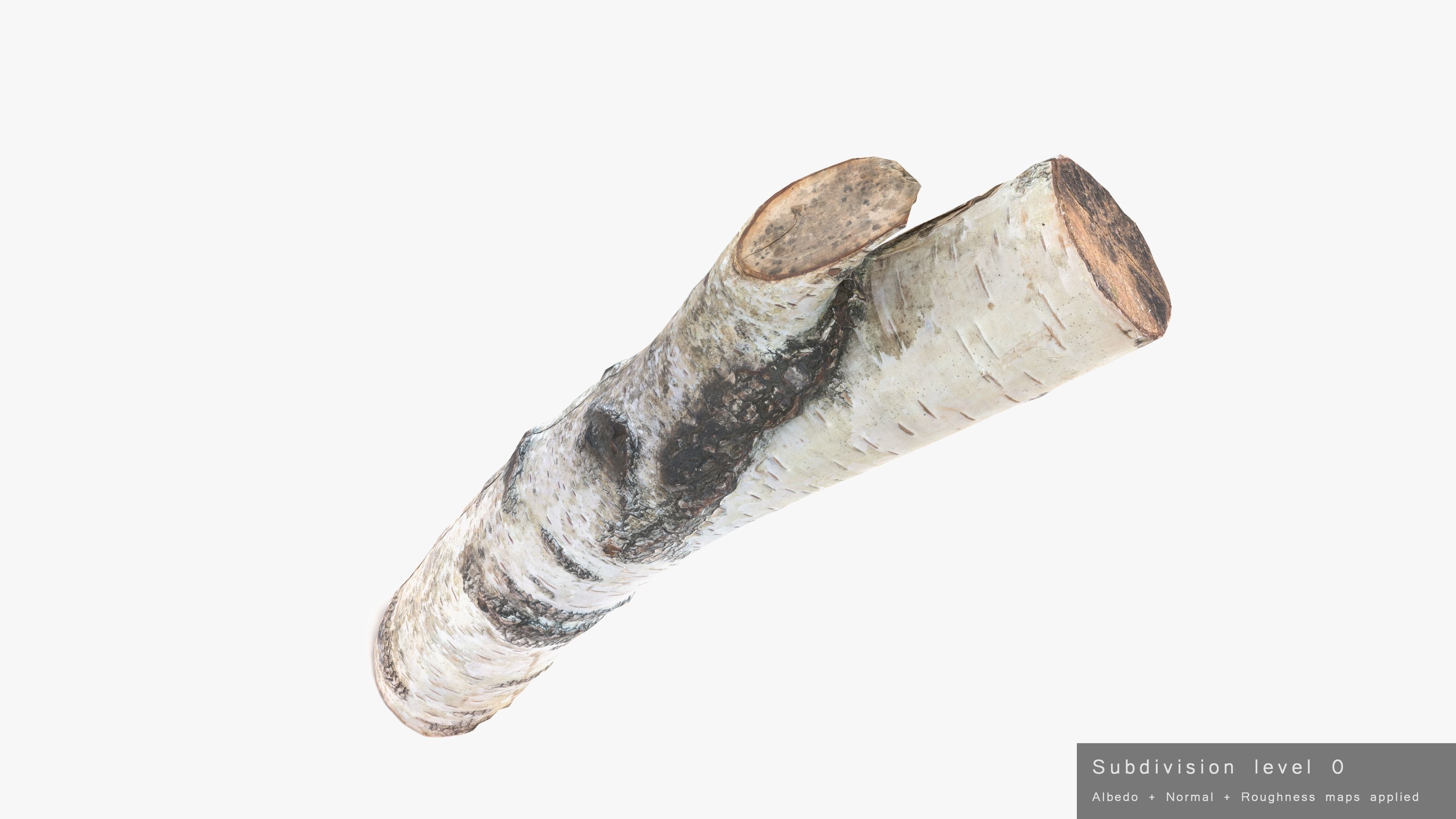 Log Birch Low-poly 3D model_22