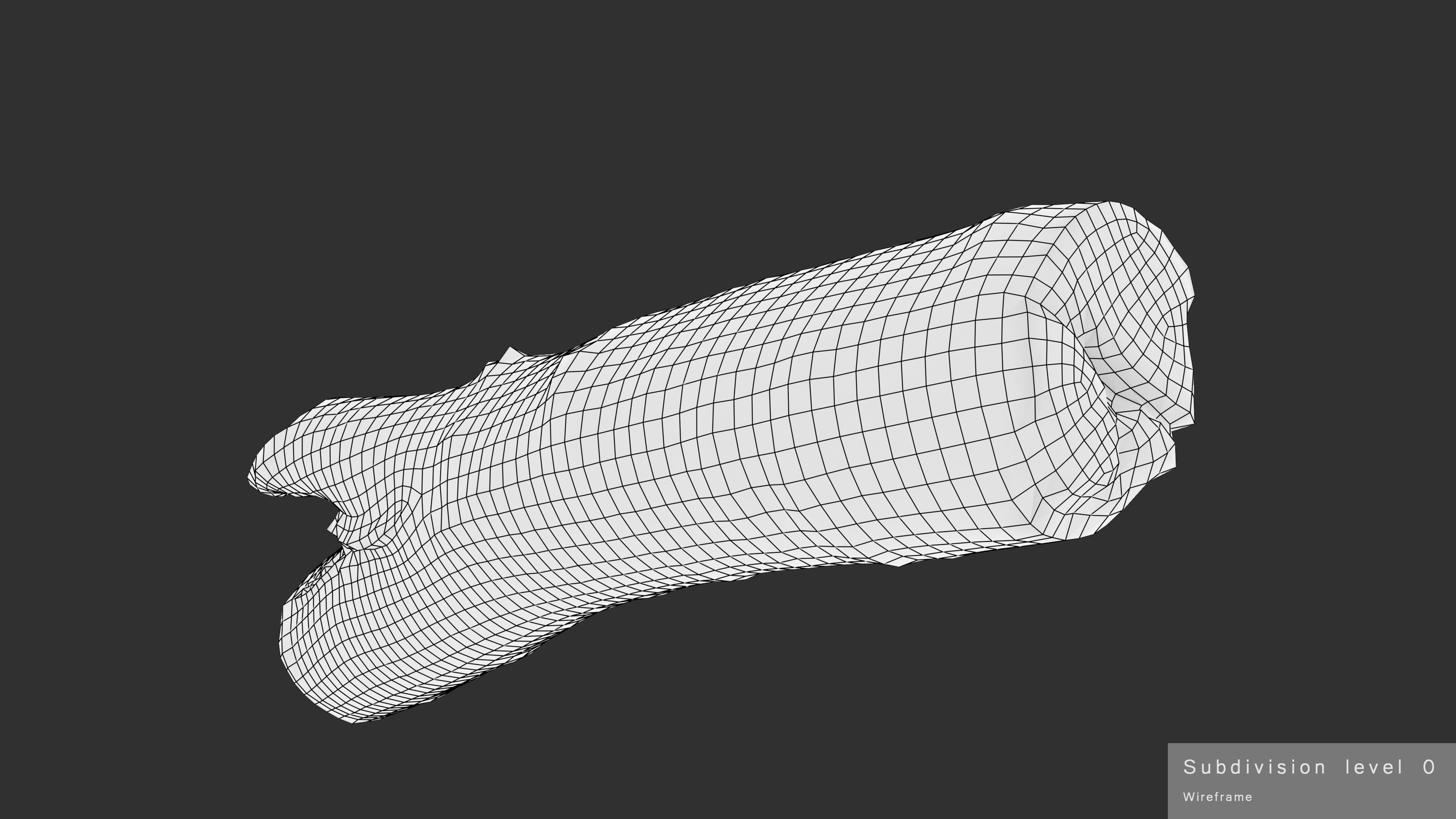 Log Birch Low-poly 3D model_26