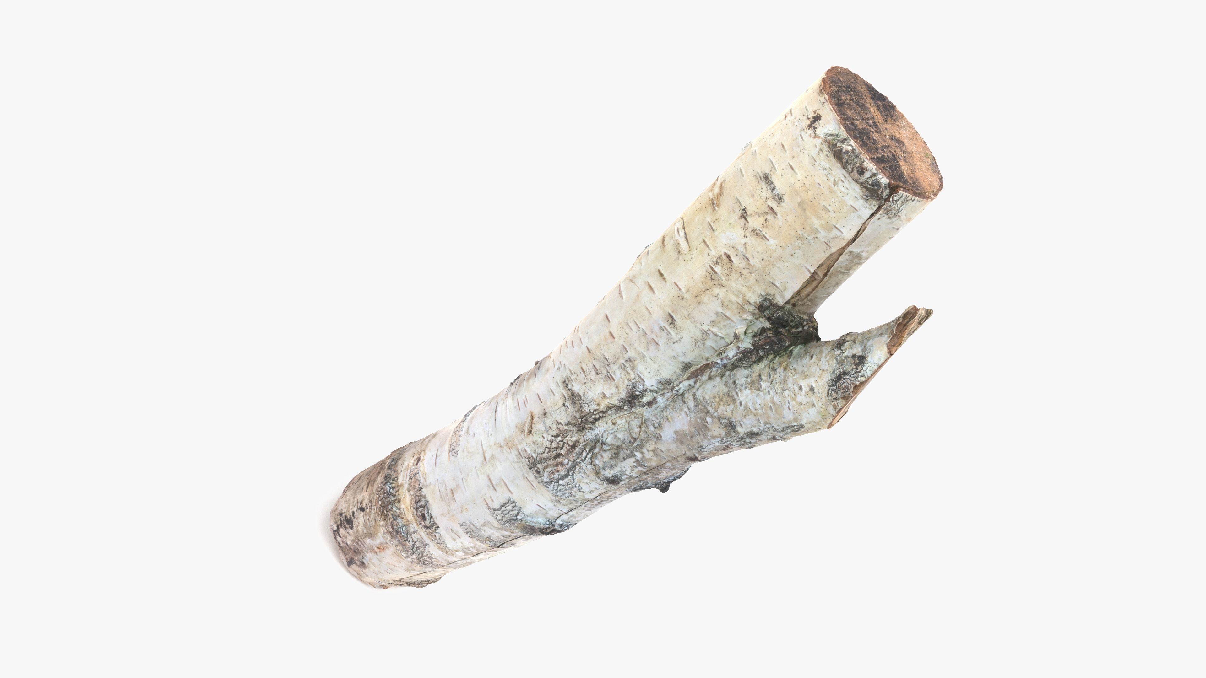 Log Birch Low-poly 3D model_17