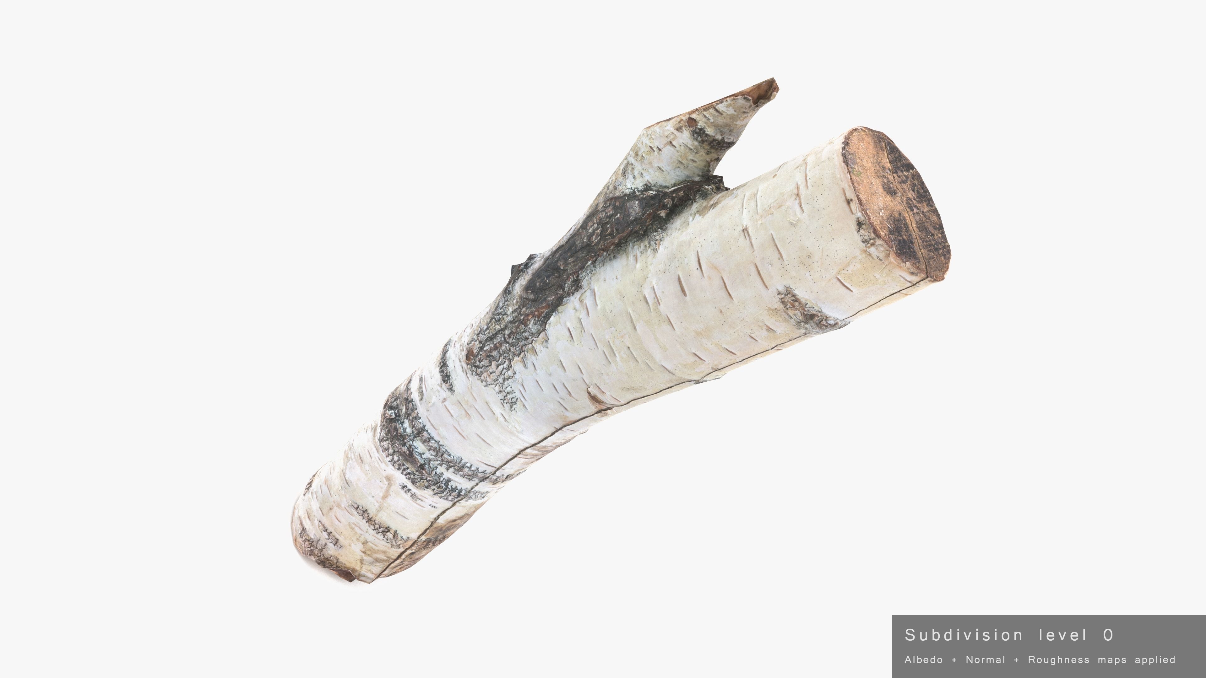 Log Birch Low-poly 3D model_21