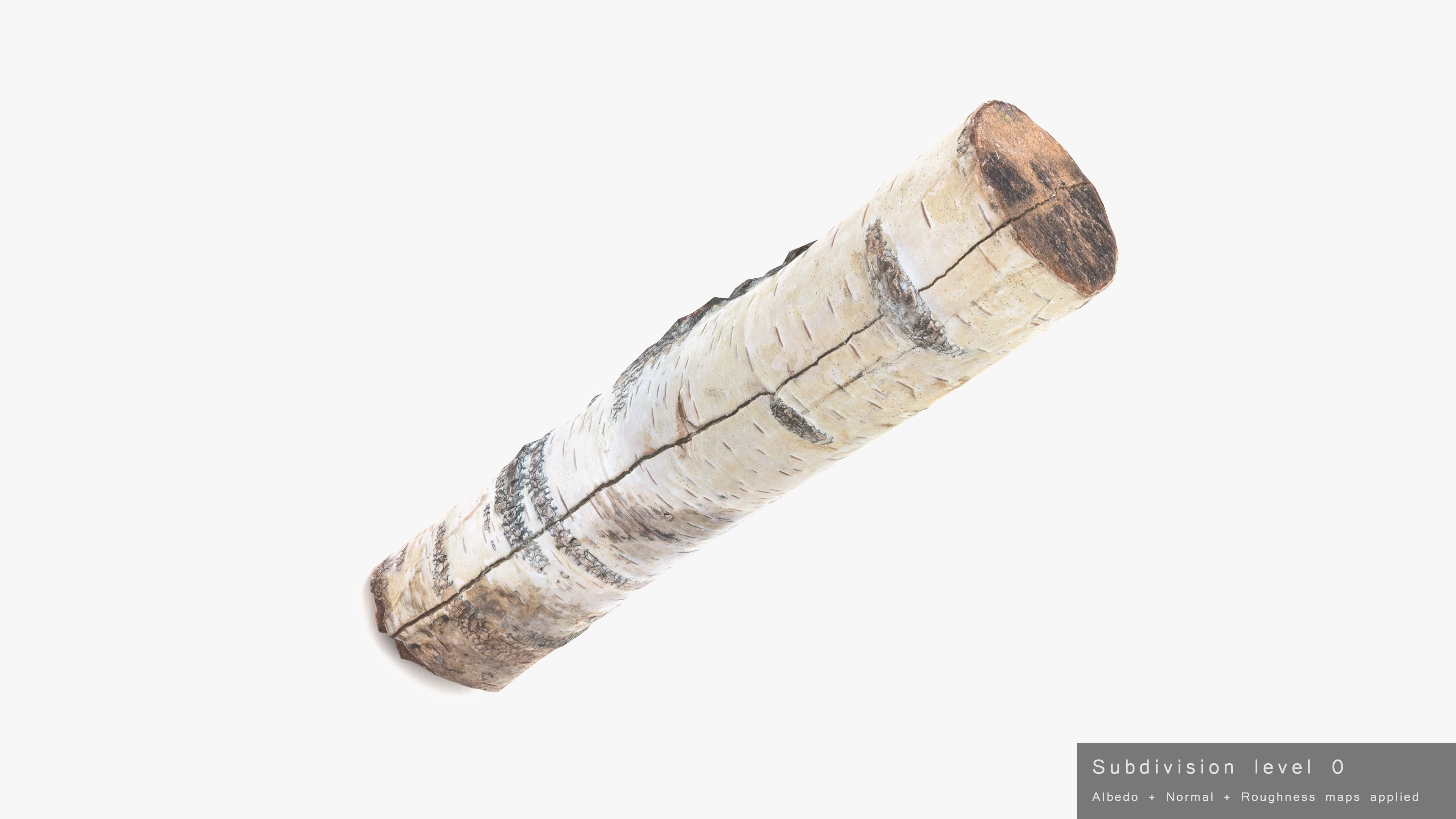 Log Birch Low-poly 3D model_20