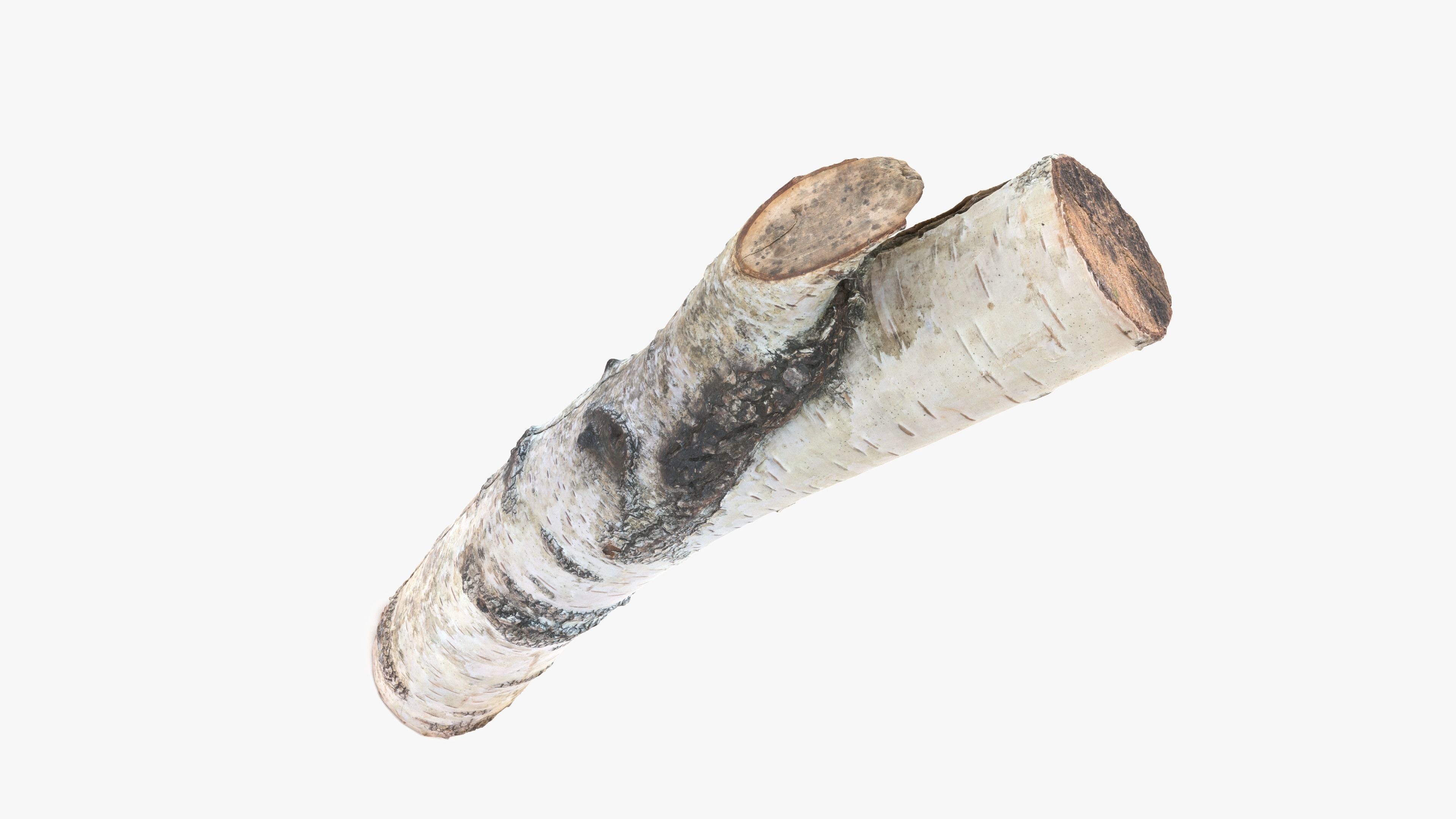 Log Birch Low-poly 3D model_15