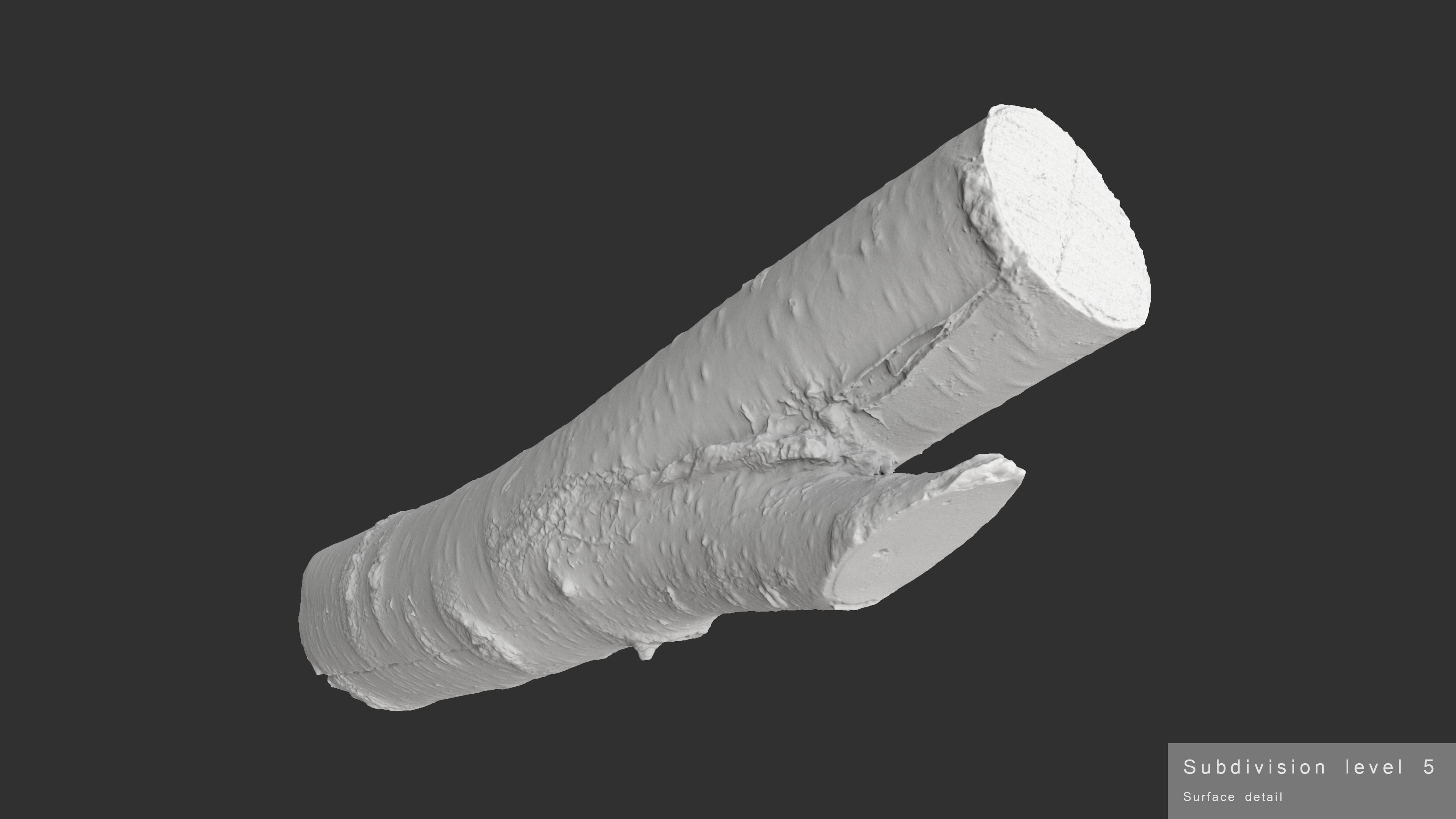 Log Birch Low-poly 3D model_18