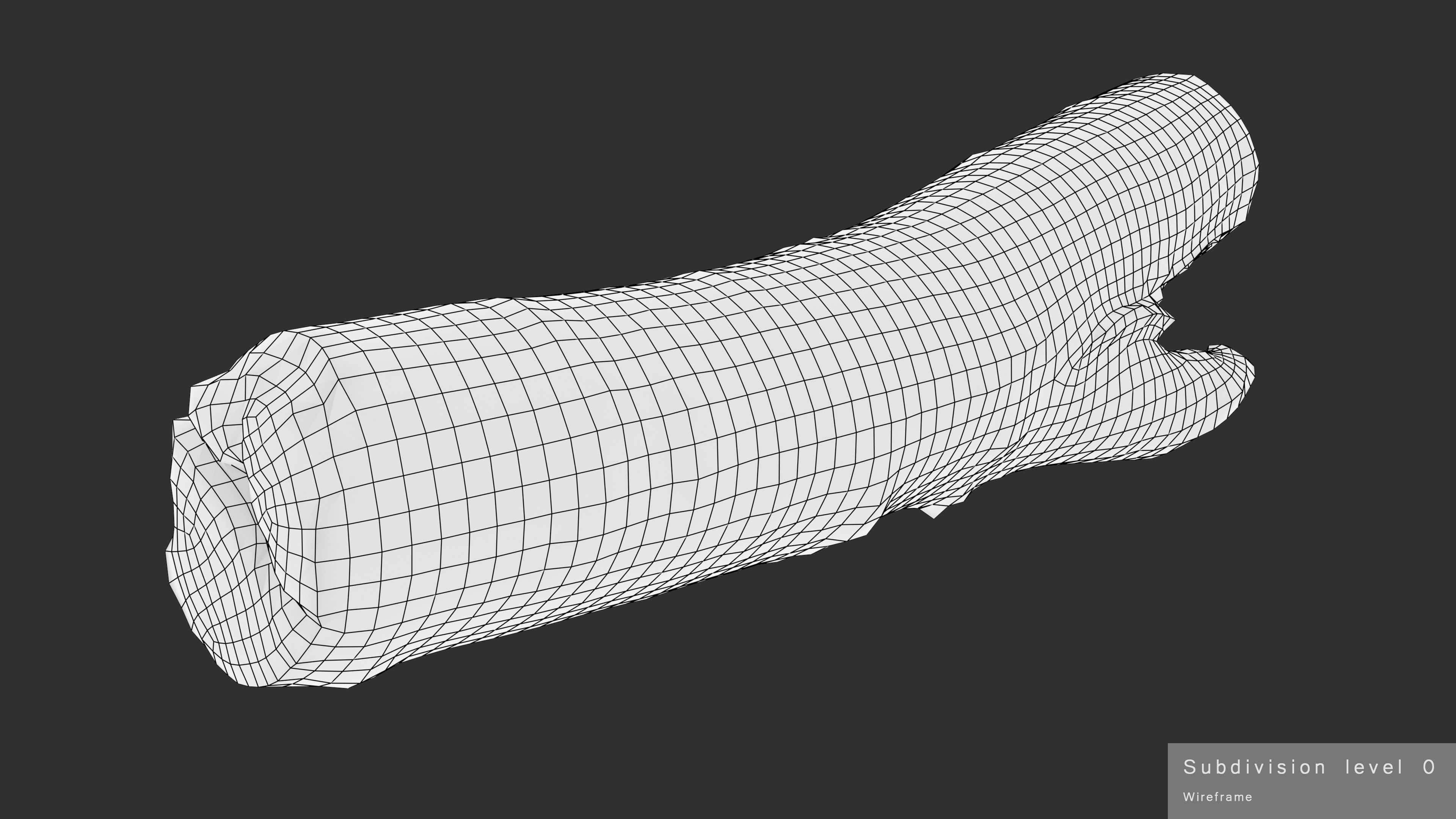 Log Birch Low-poly 3D model_29