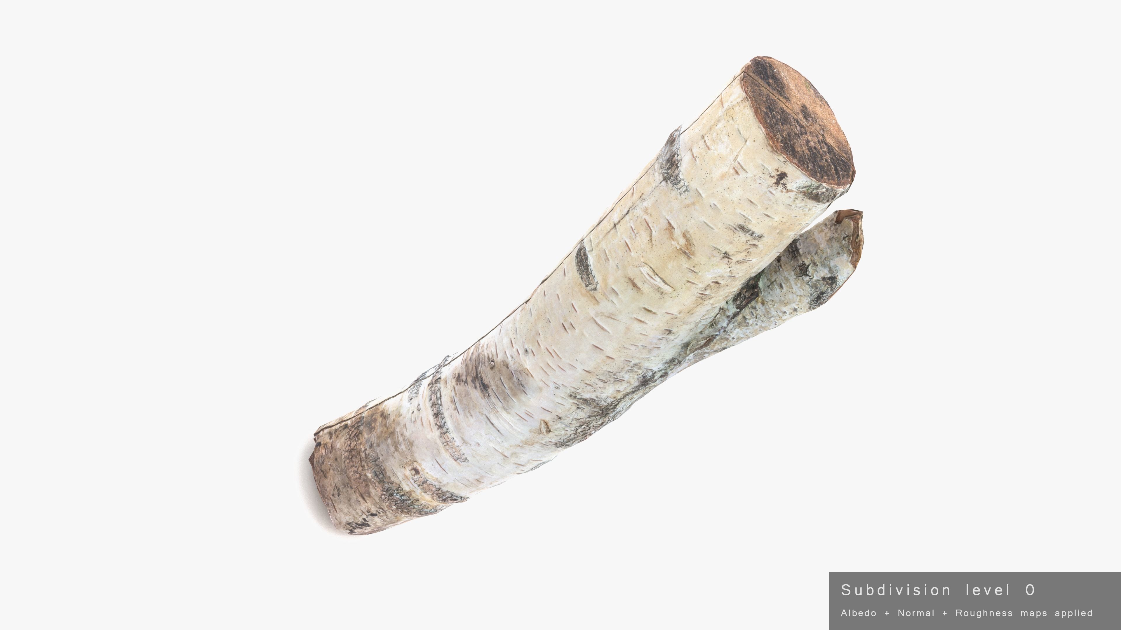 Log Birch Low-poly 3D model_19