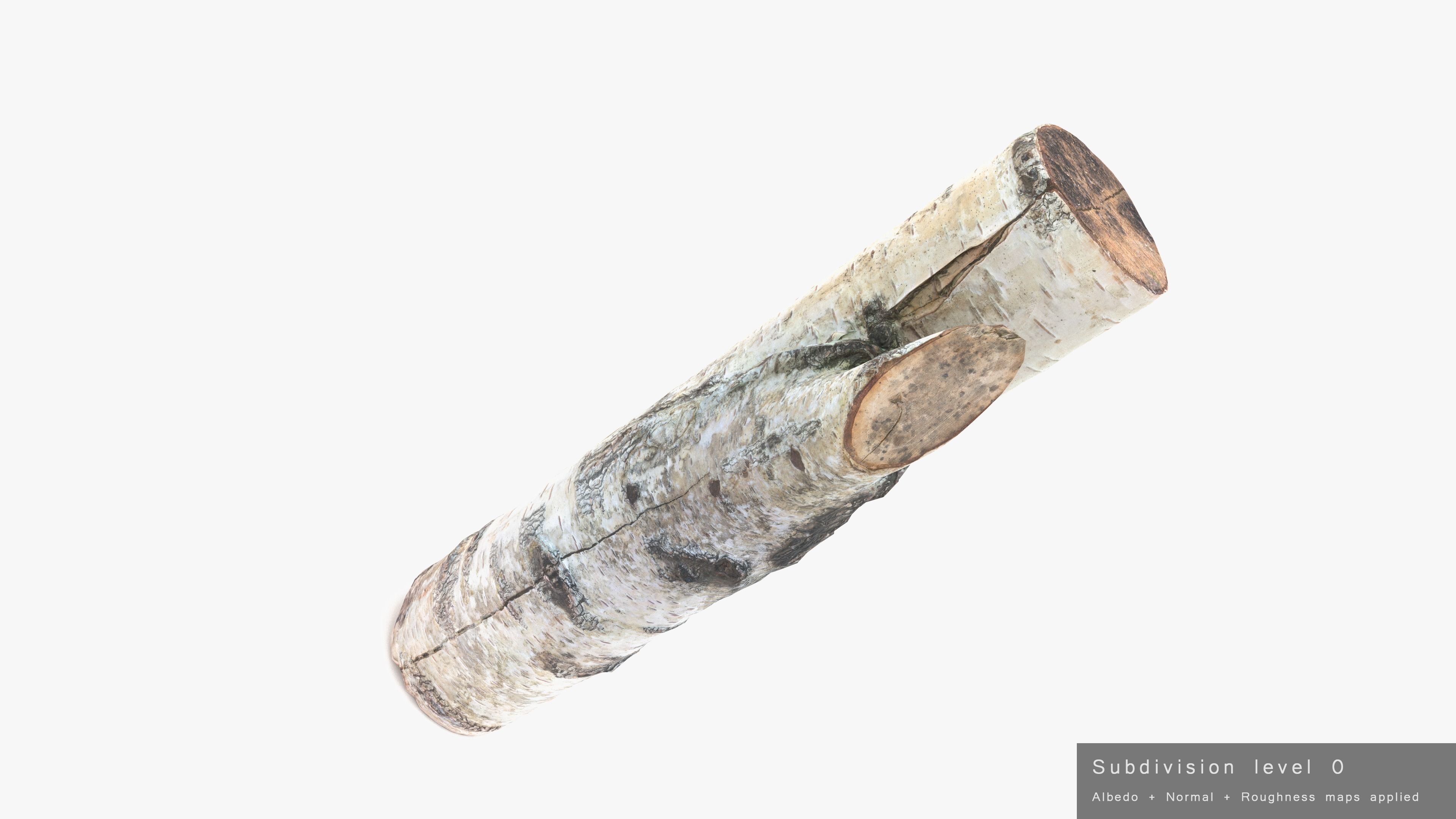 Log Birch Low-poly 3D model_23