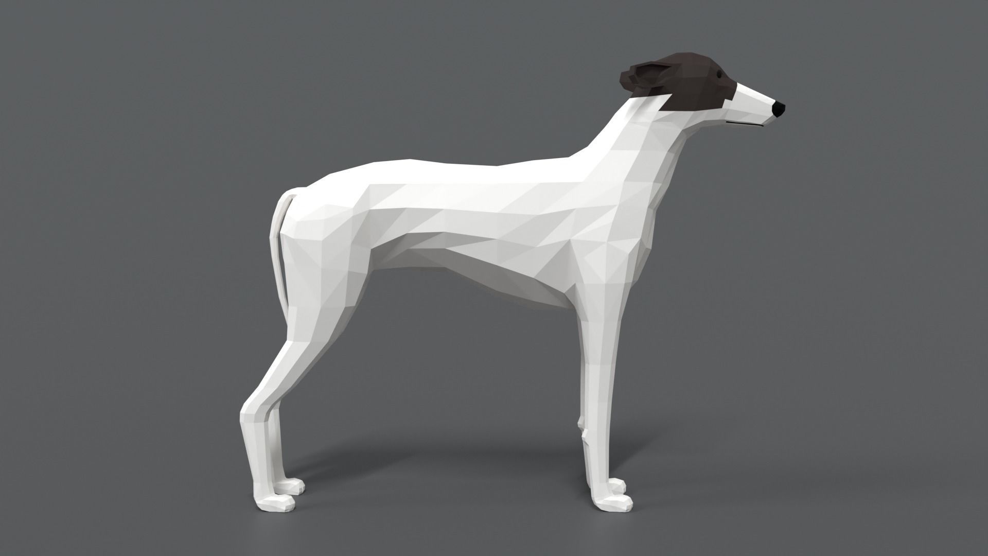 Low Poly Cartoon Greyhound Dog Low-poly 3D model_5