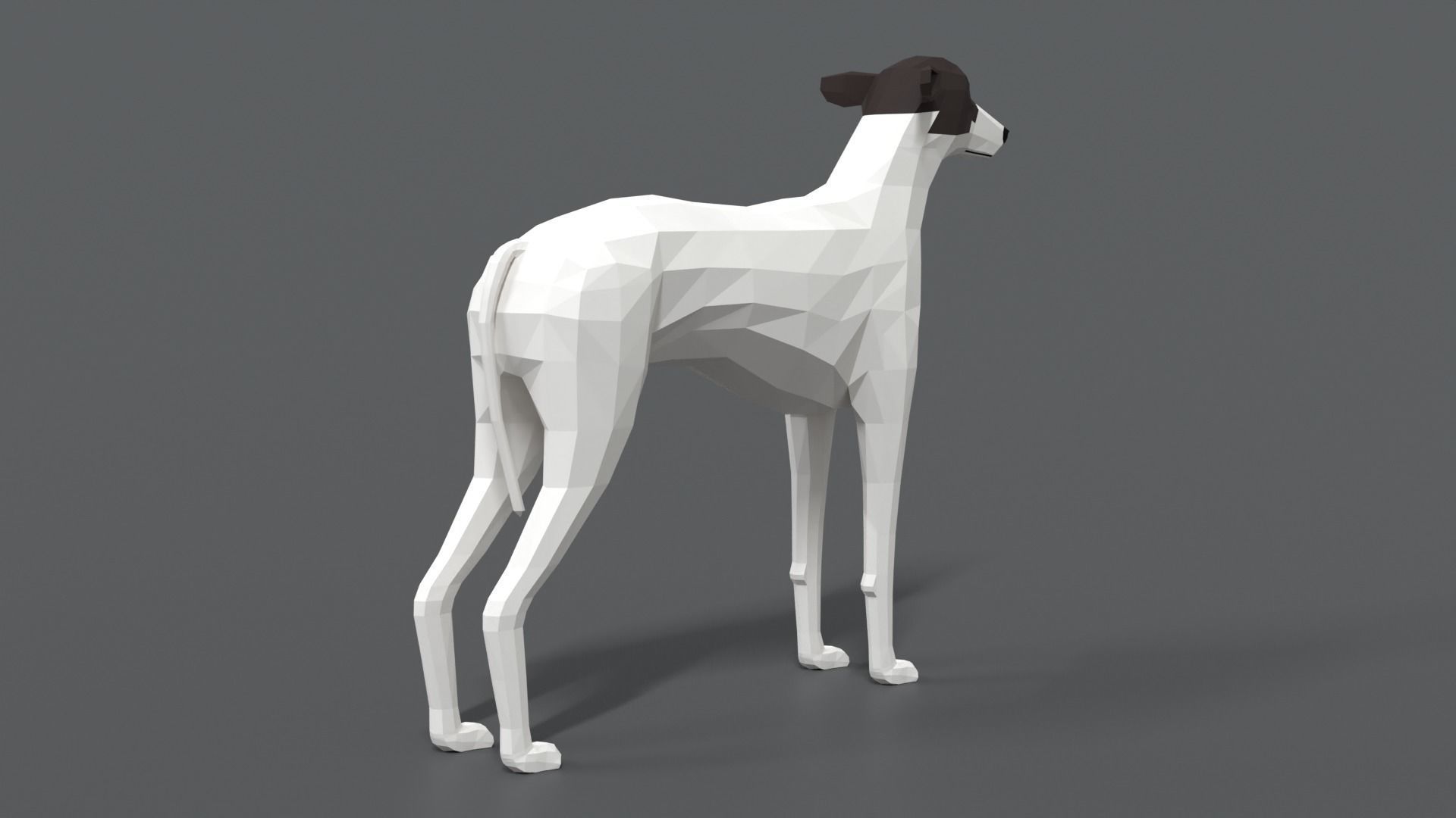 Low Poly Cartoon Greyhound Dog Low-poly 3D model_4